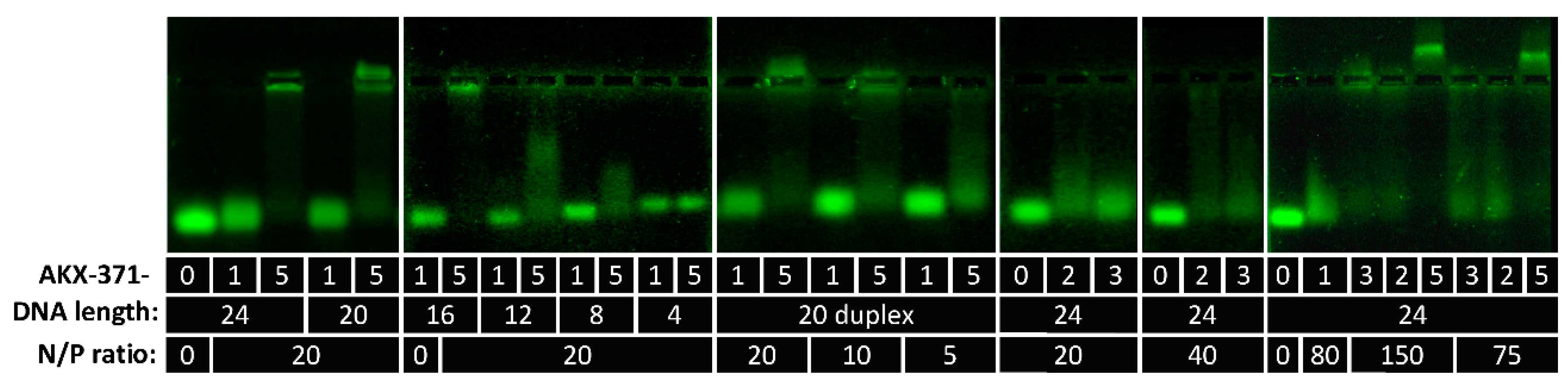 Polymers 10 01297 g003