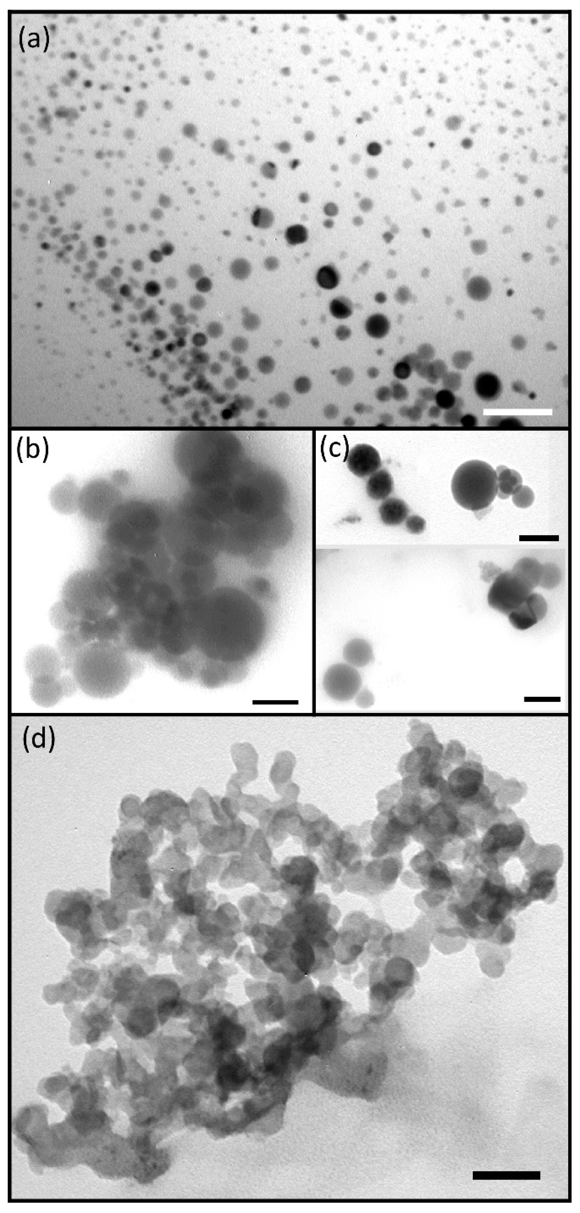 Polymers 10 01297 g005