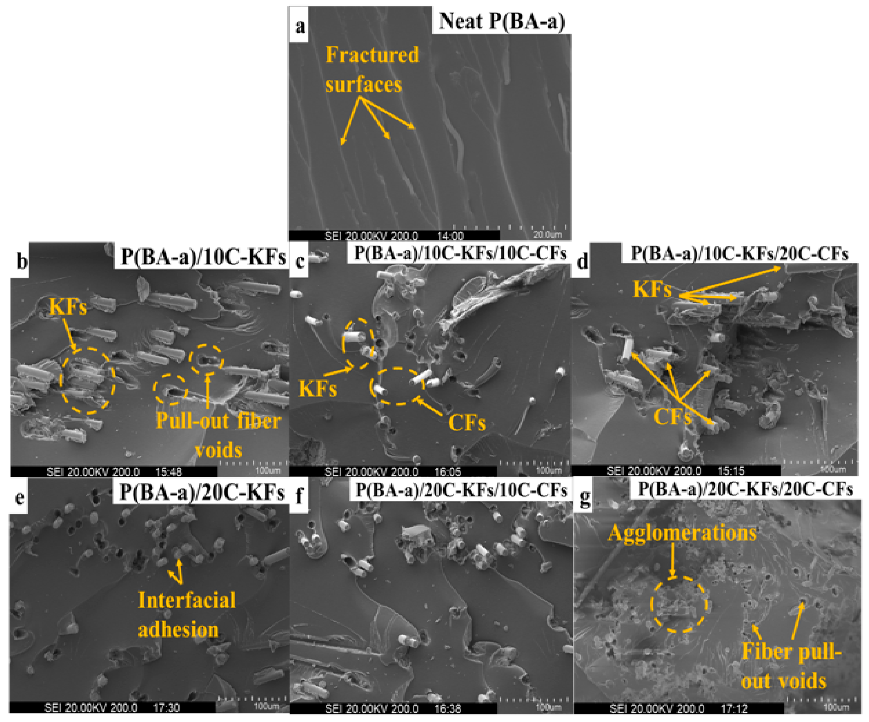 Polymers 10 01308 g009