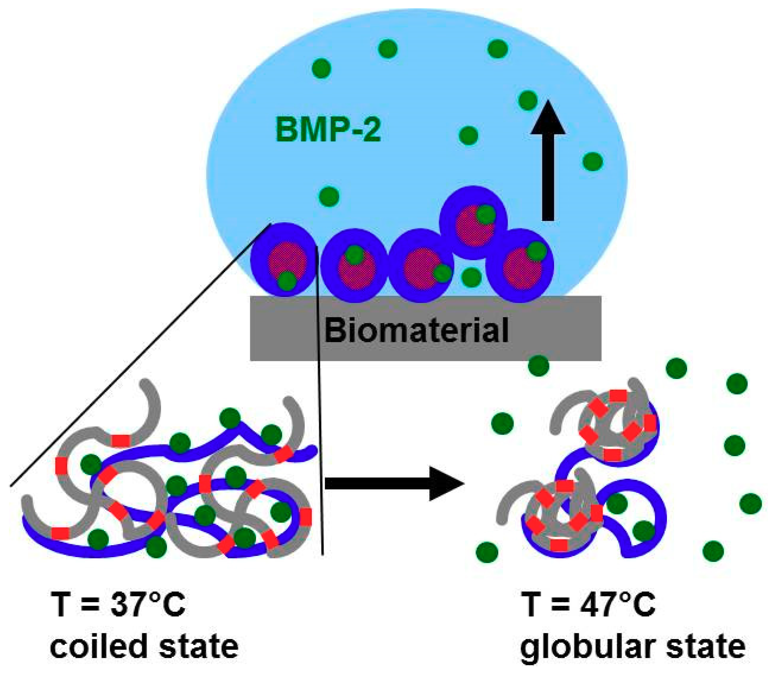 Polymers 10 01314 g009