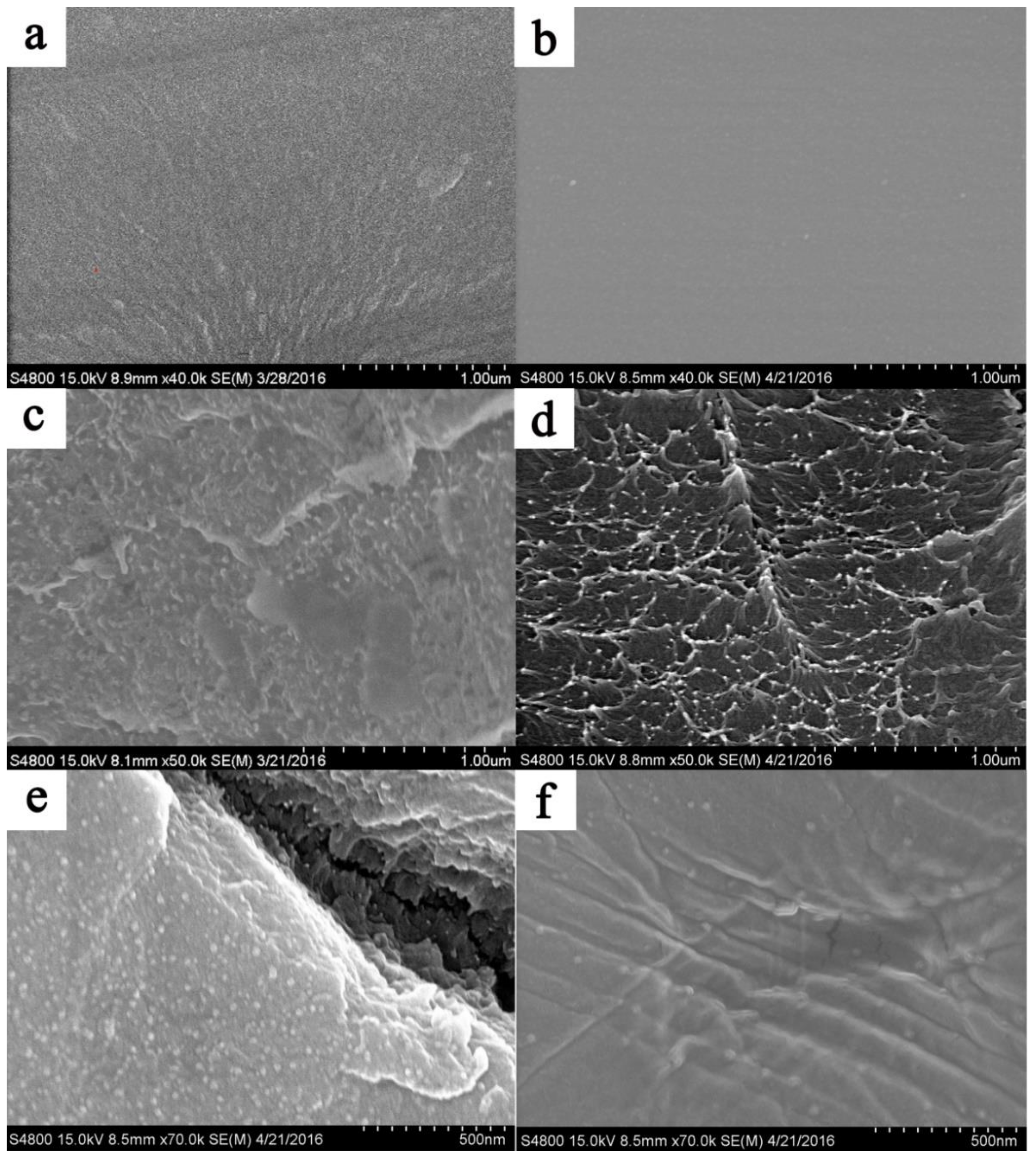 Polymers 10 01315 g008 Polymers 10 01315 g008