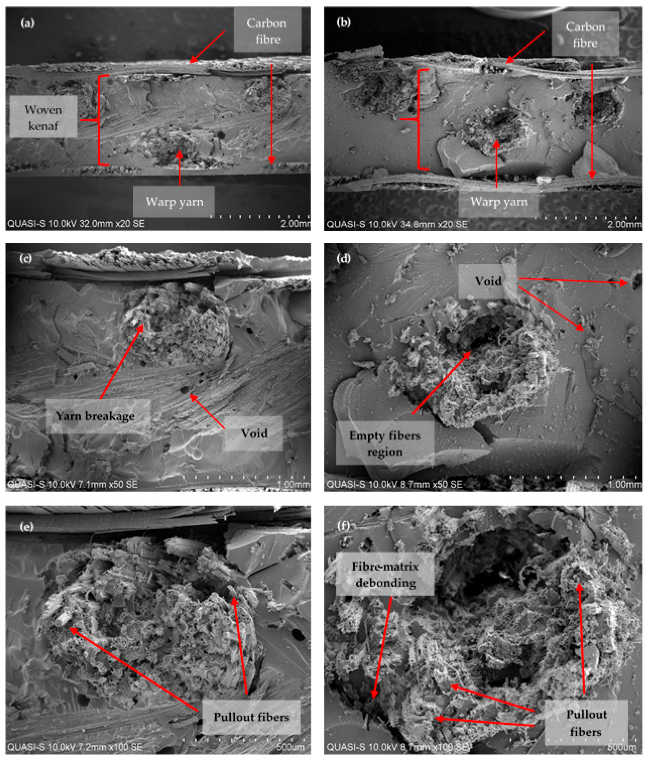 Polymers 10 01320 g007