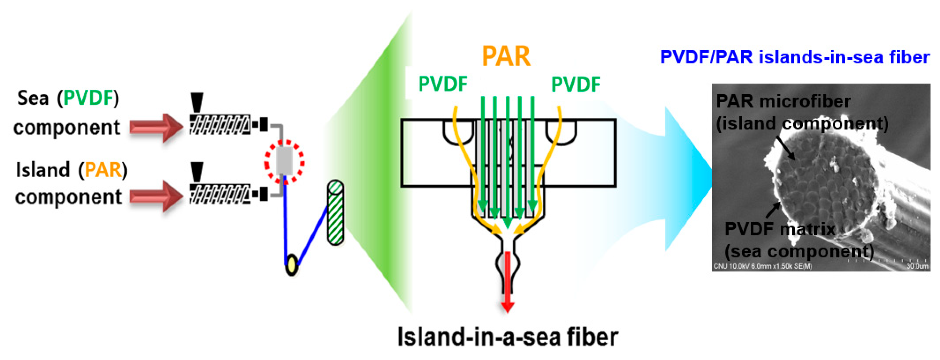 Polymers 10 01333 g001