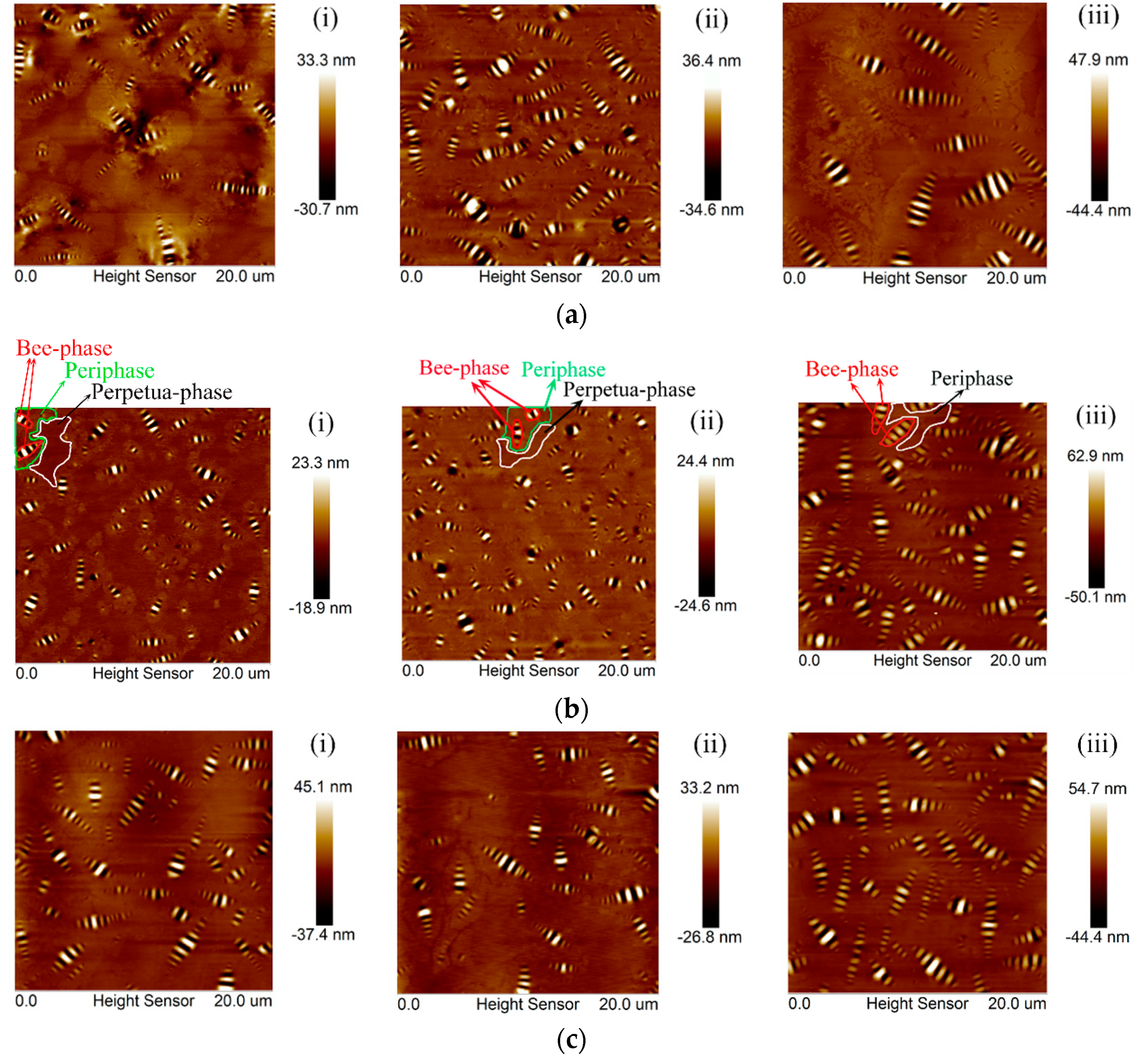 Polymers 10 01345 g001 Polymers 10 01345 g001