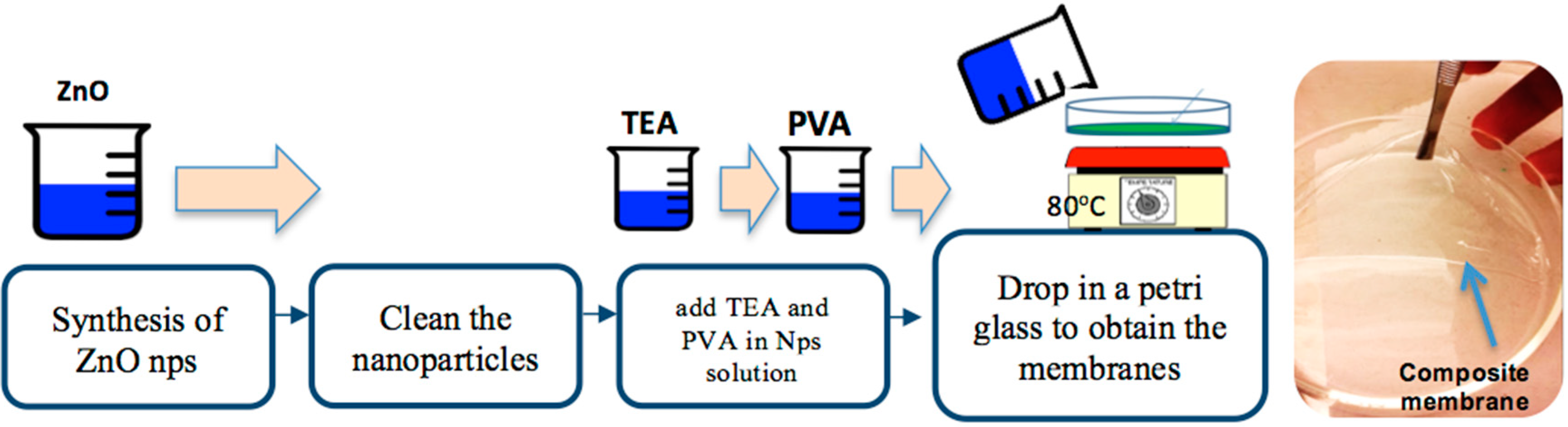 Polymers 10 01370 g001