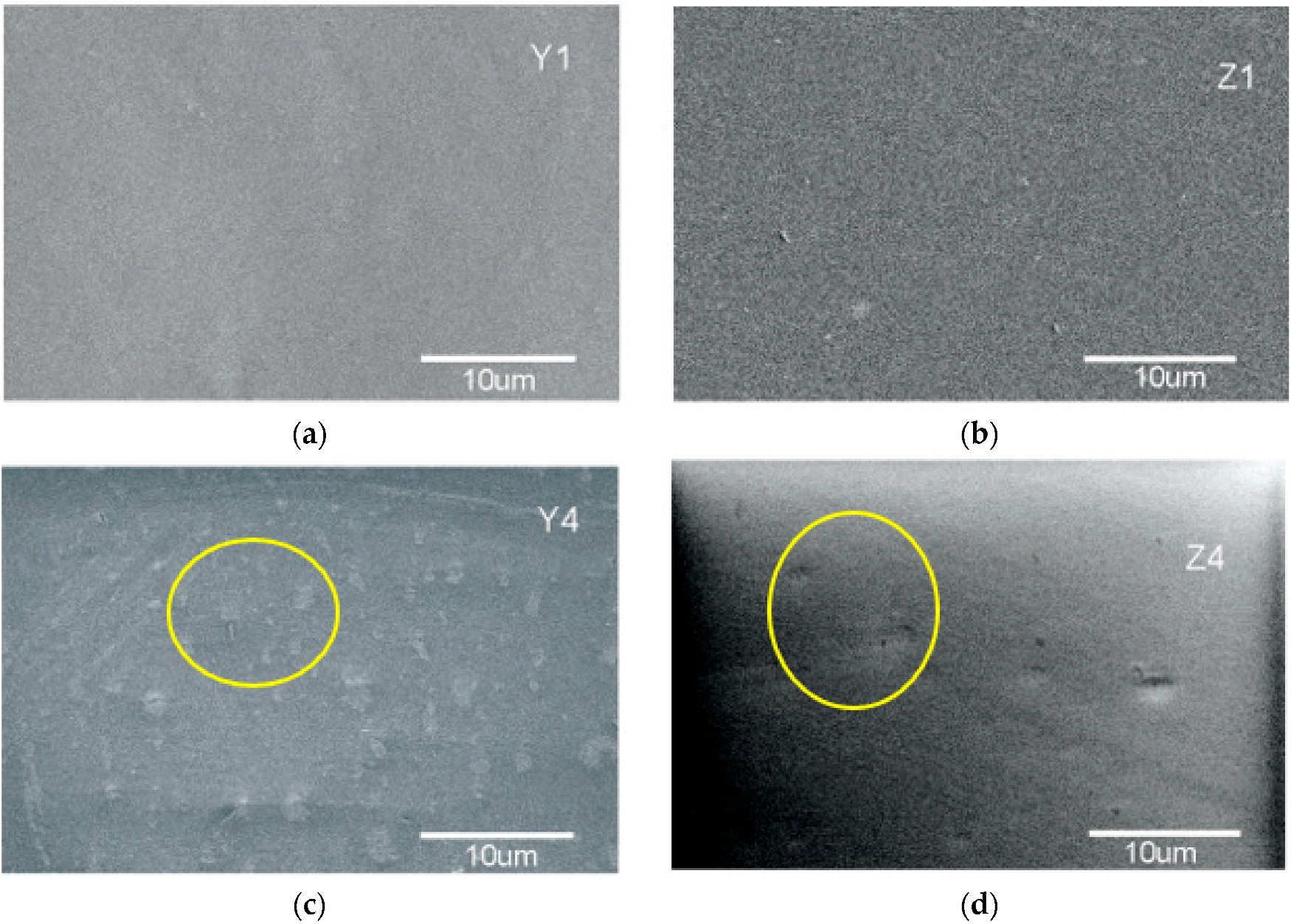 Polymers 10 01370 g007