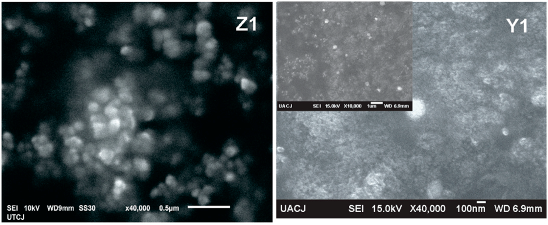 Polymers 10 01370 g008a