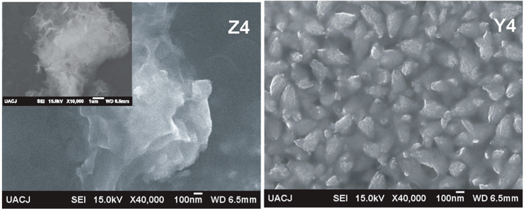 Polymers 10 01370 g008b