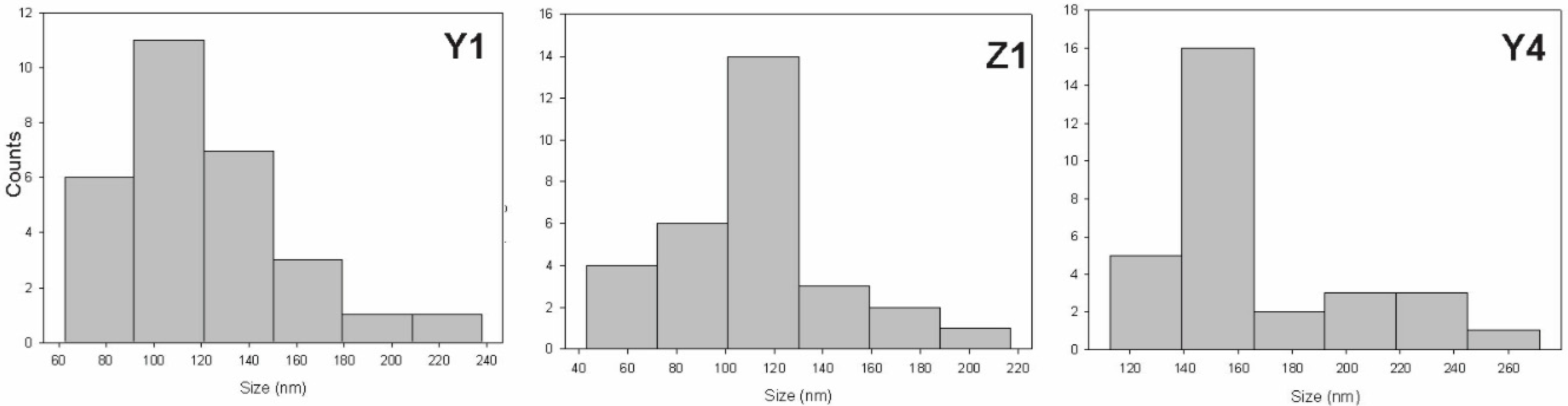 Polymers 10 01370 g009