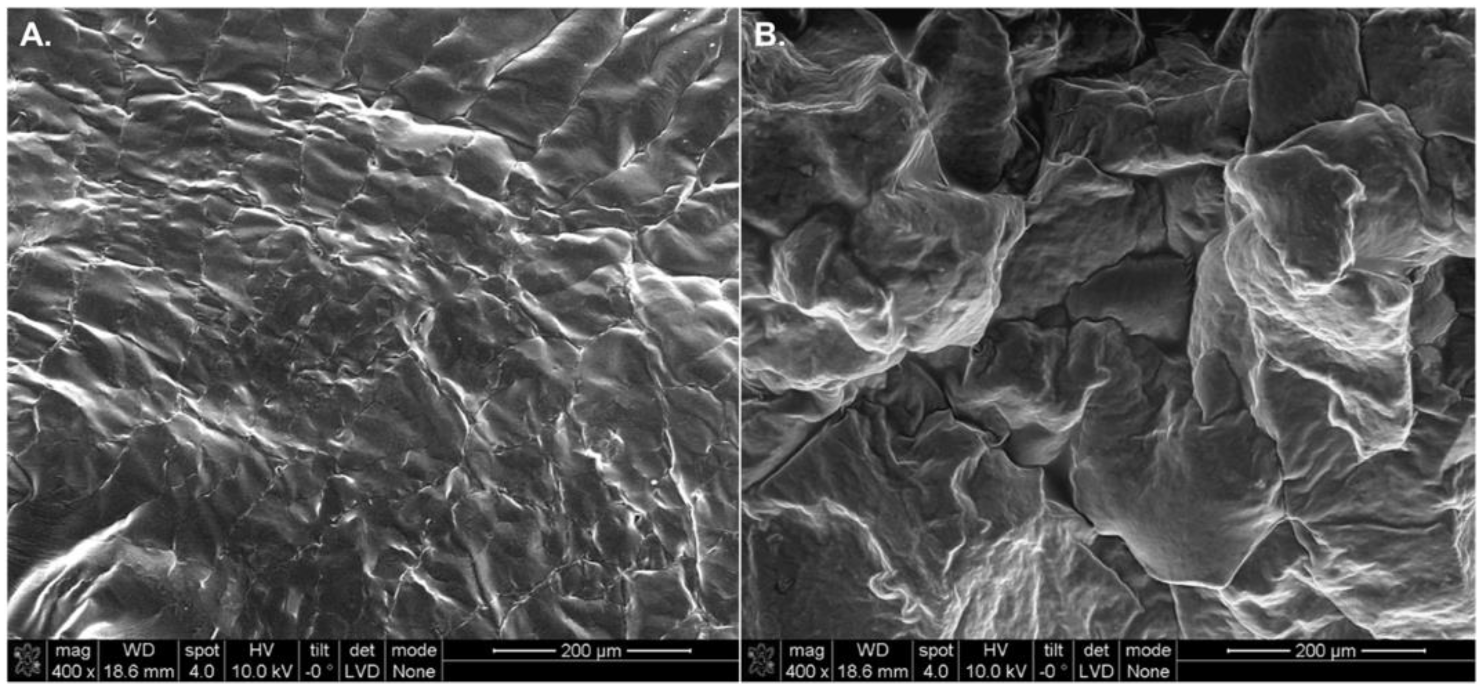 Polymers 10 01372 g003