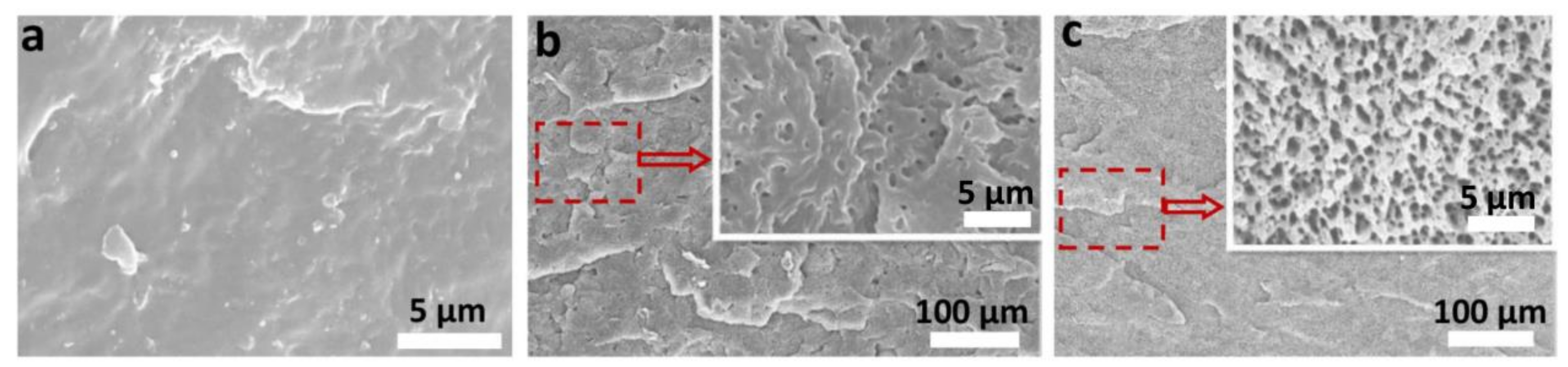 Polymers 10 01375 g002