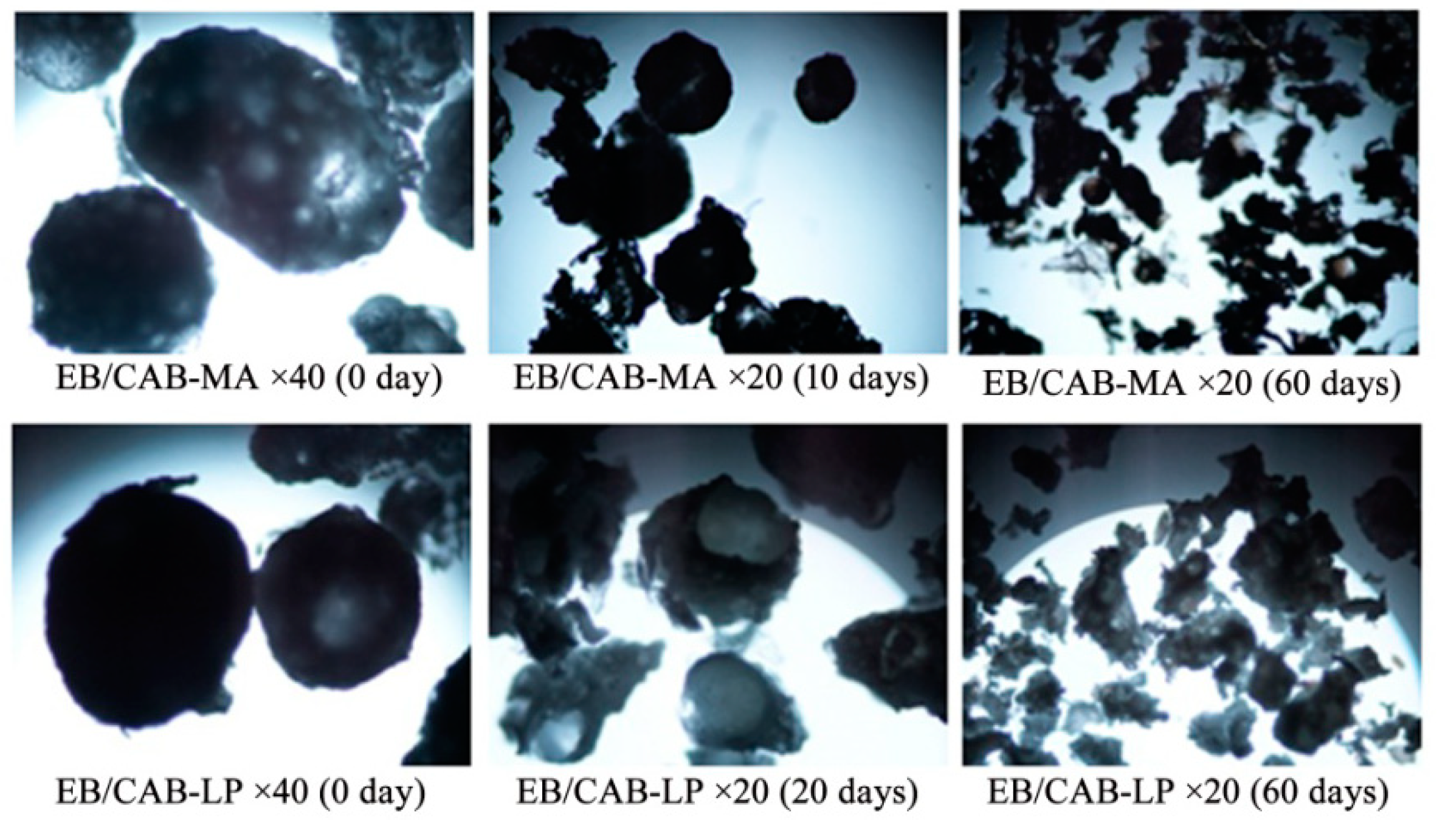 Polymers 10 01381 g009