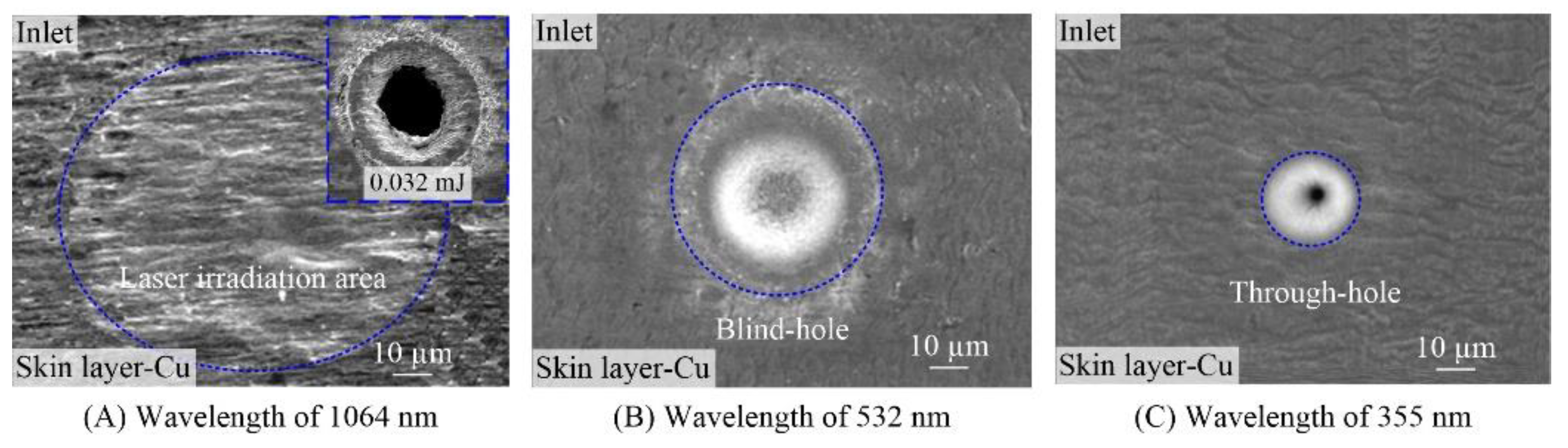 Polymers 10 01390 g002