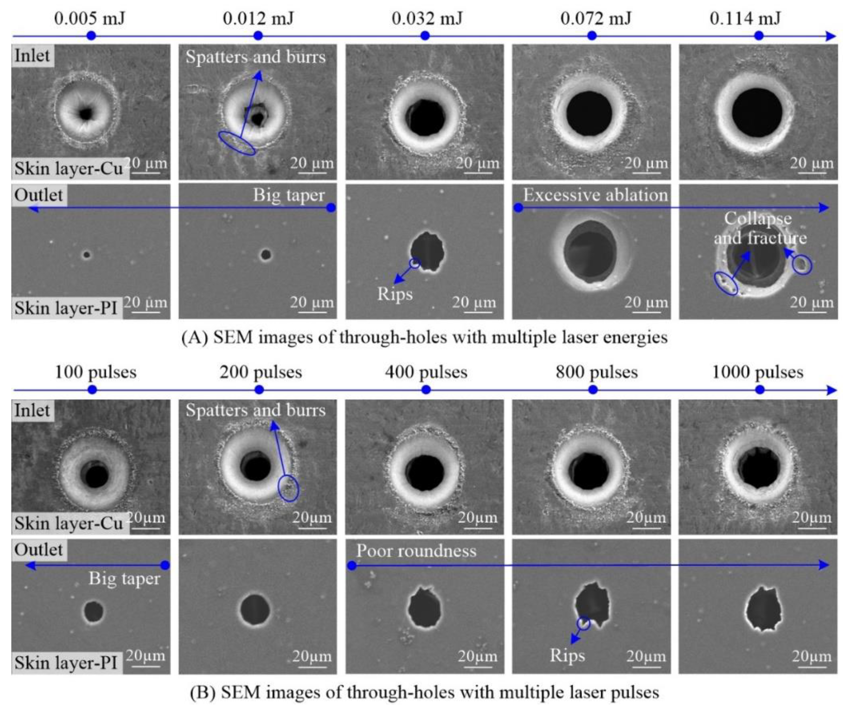 Polymers 10 01390 g005