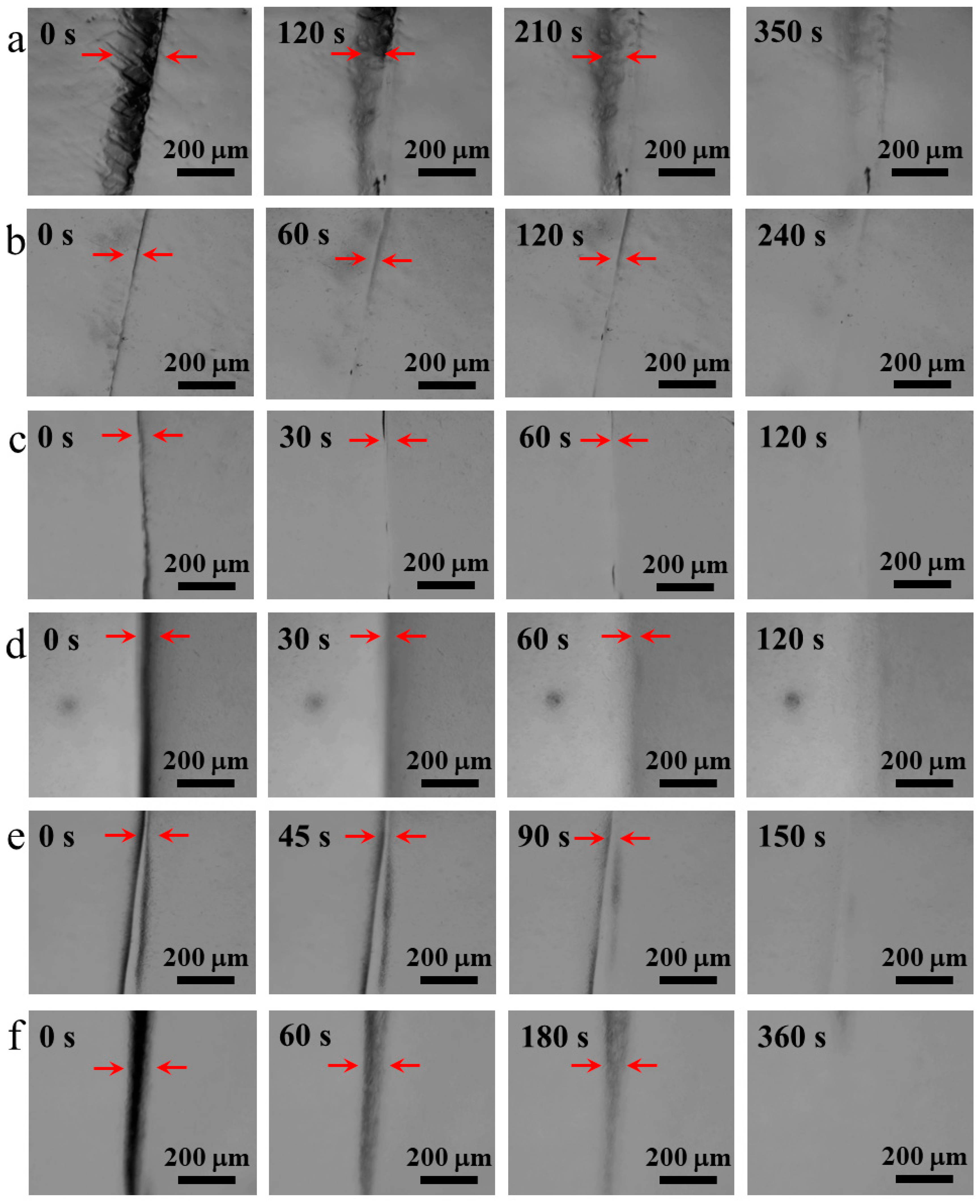 Polymers 10 01392 g003