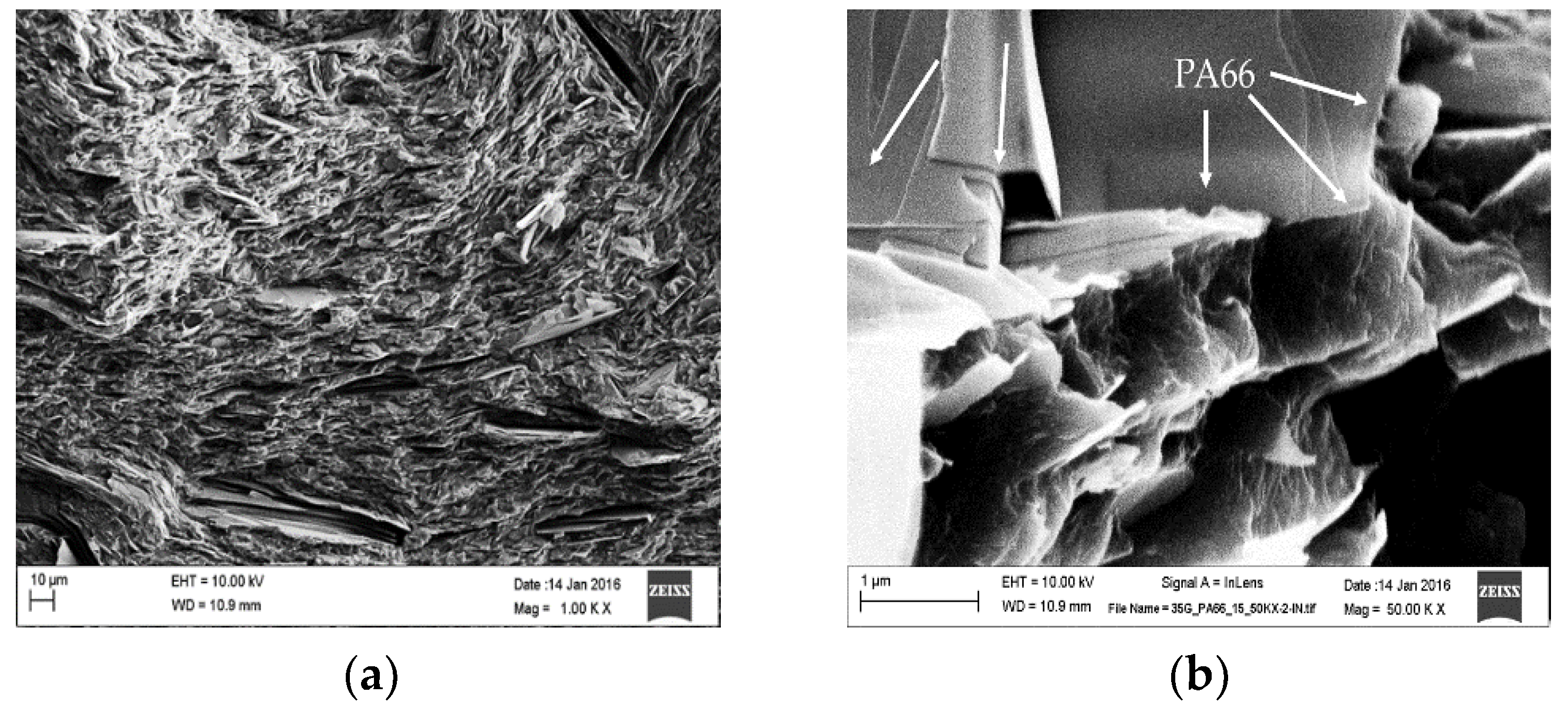 Polymers 10 01399 g006