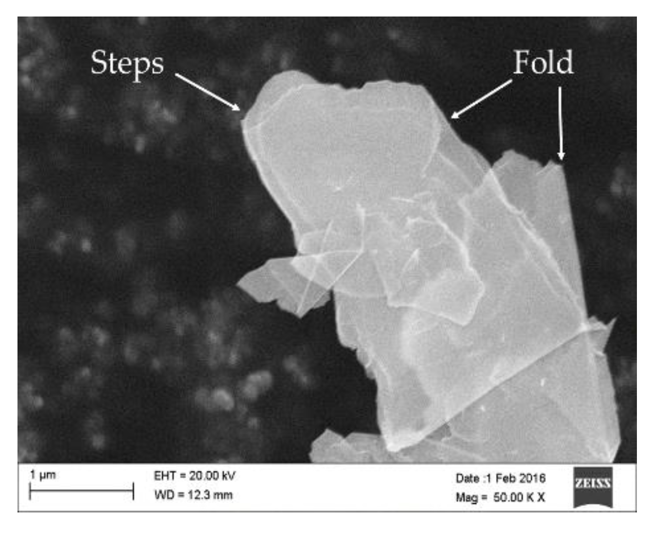 Polymers 10 01399 g007