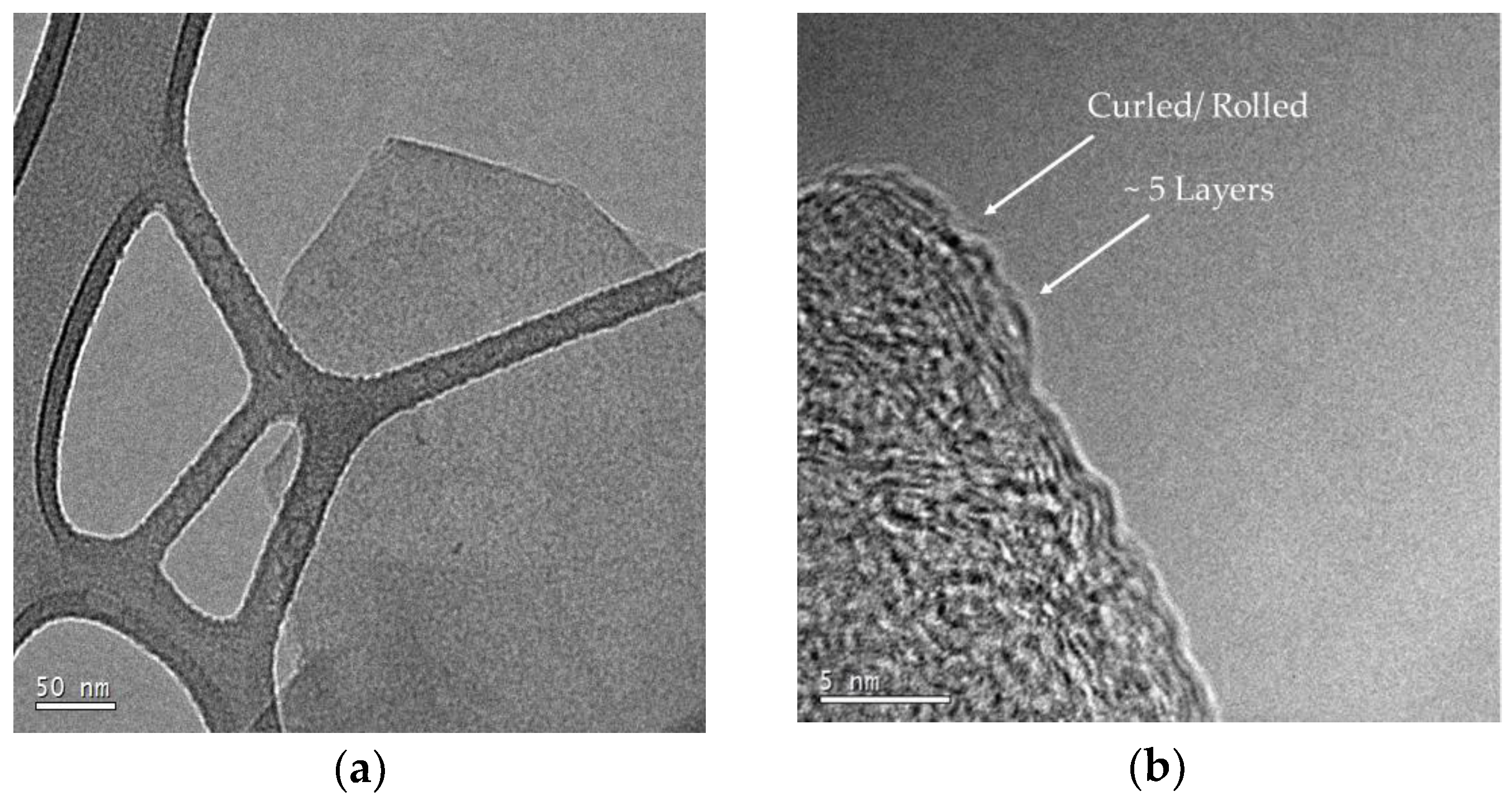 Polymers 10 01399 g008a