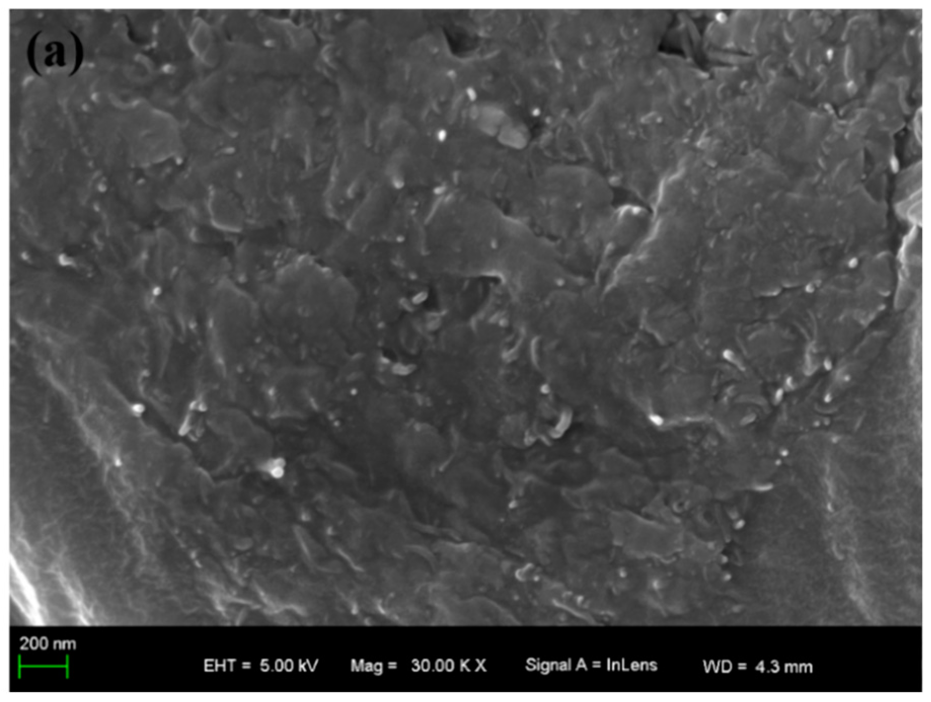 Polymers 10 01406 g002a