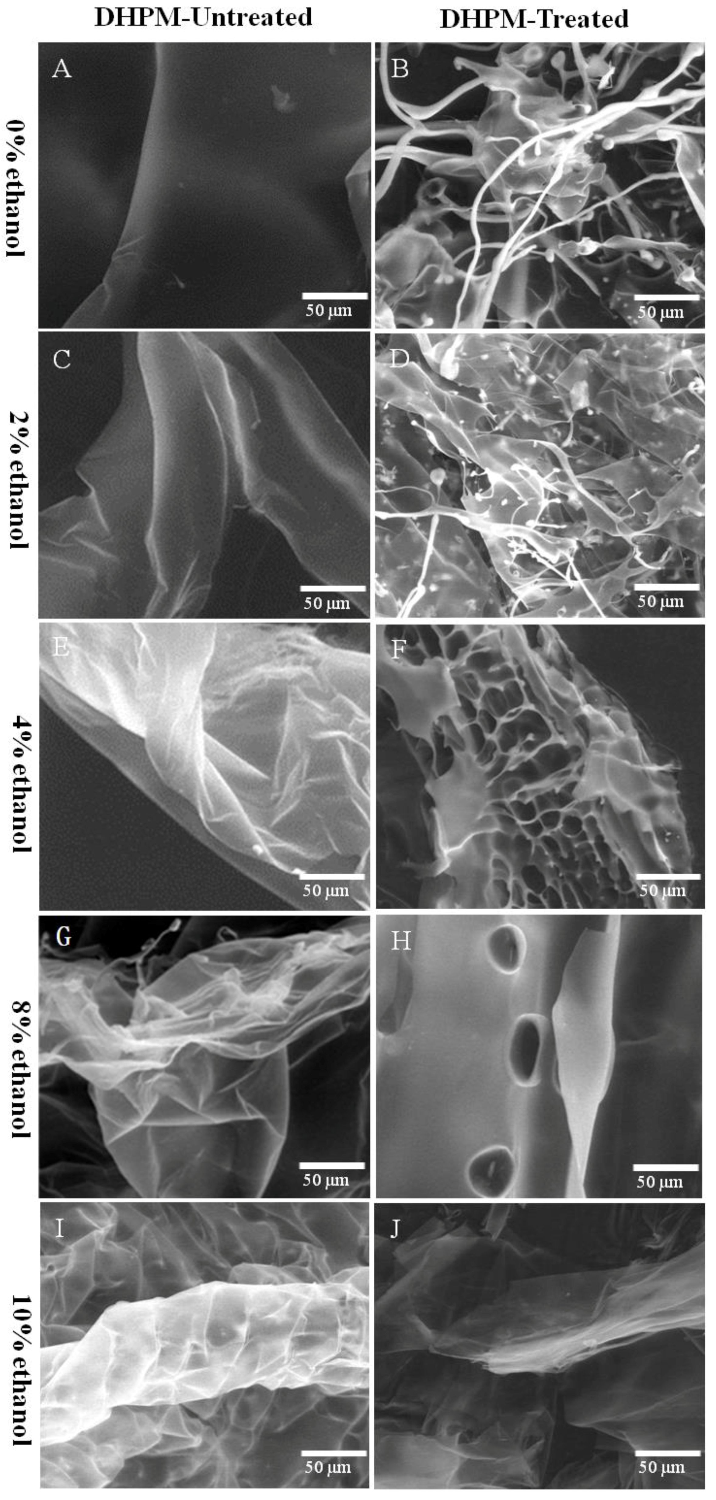 Polymers 10 01410 g004 Polymers 10 01410 g004