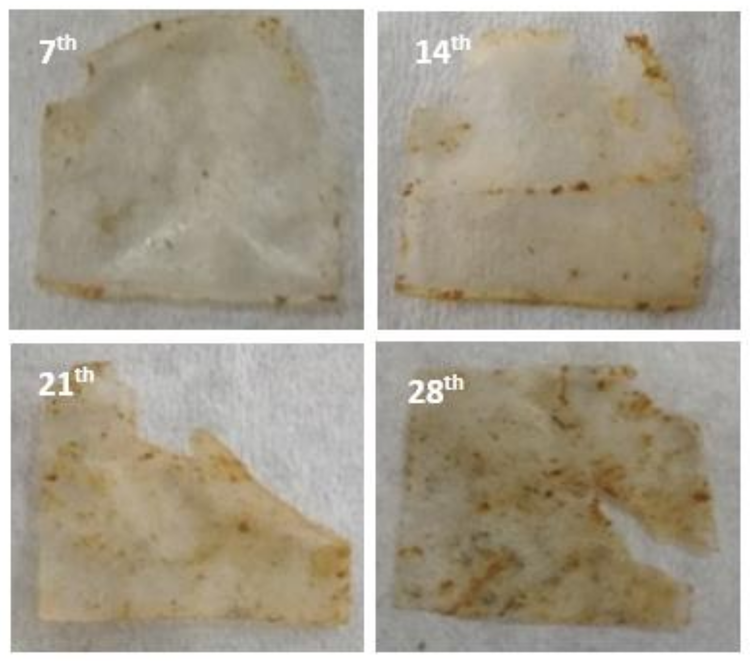 Polymers 11 00004 g002