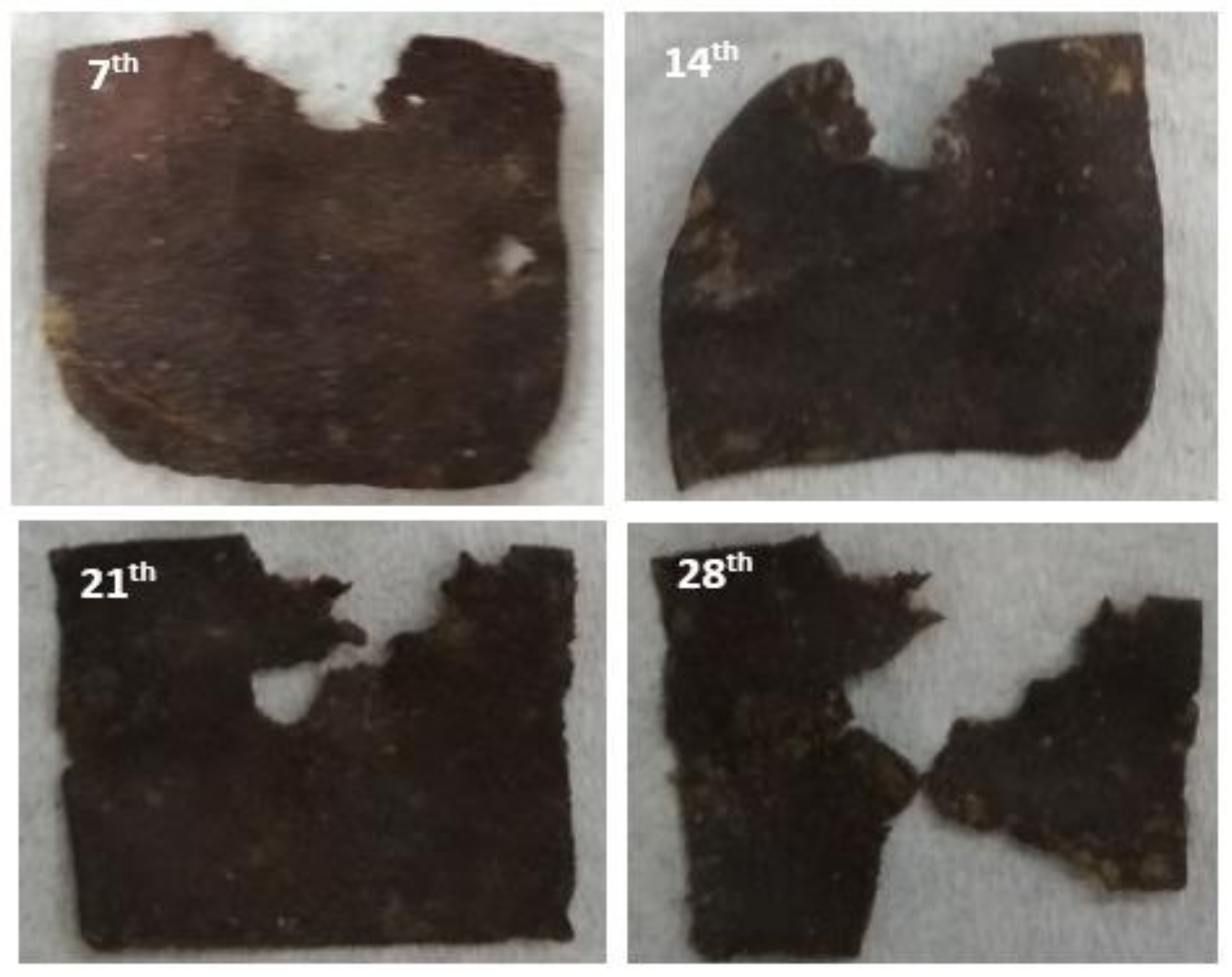 Polymers 11 00004 g004