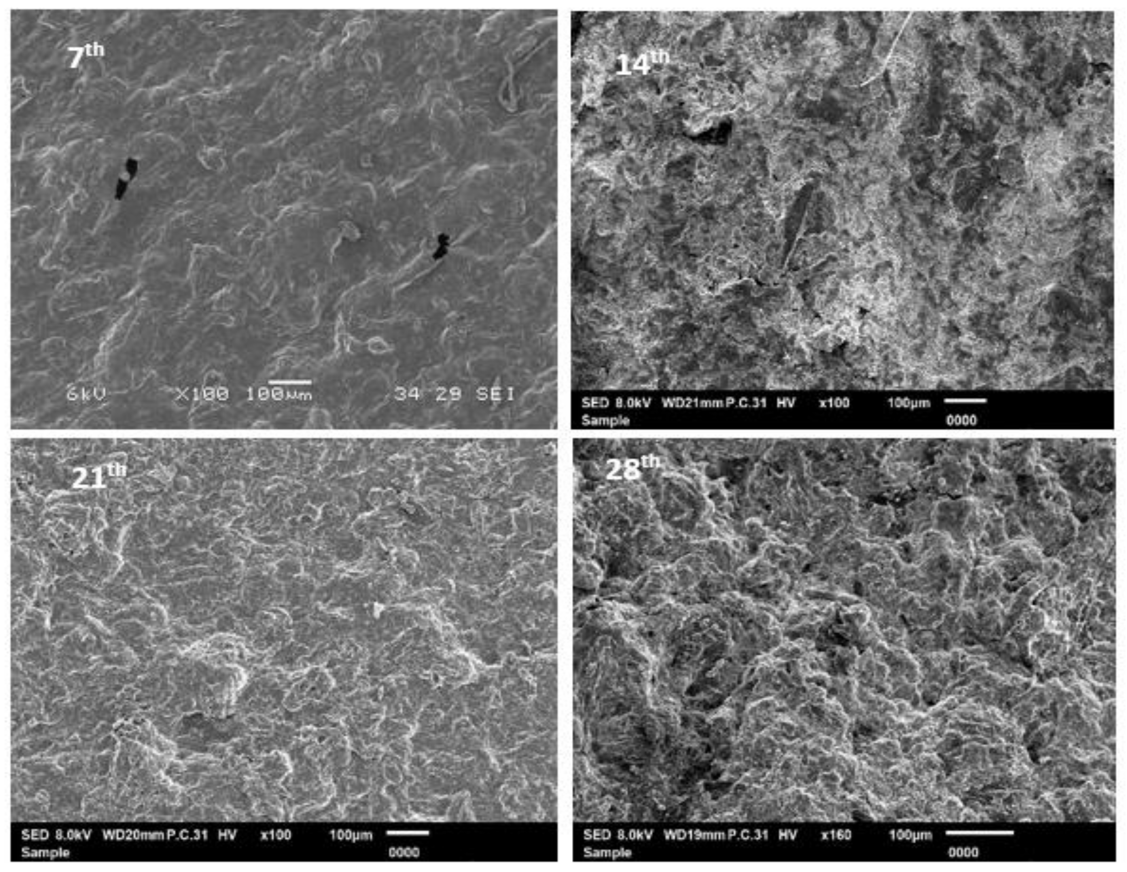 Polymers 11 00004 g005