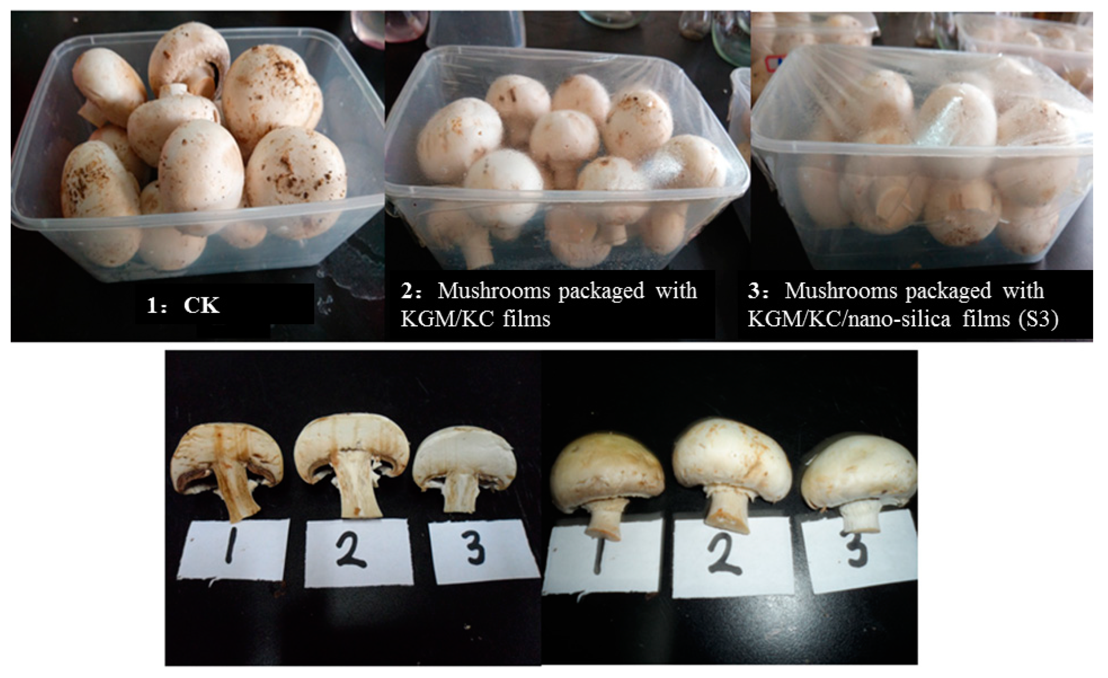 Polymers 11 00006 g005