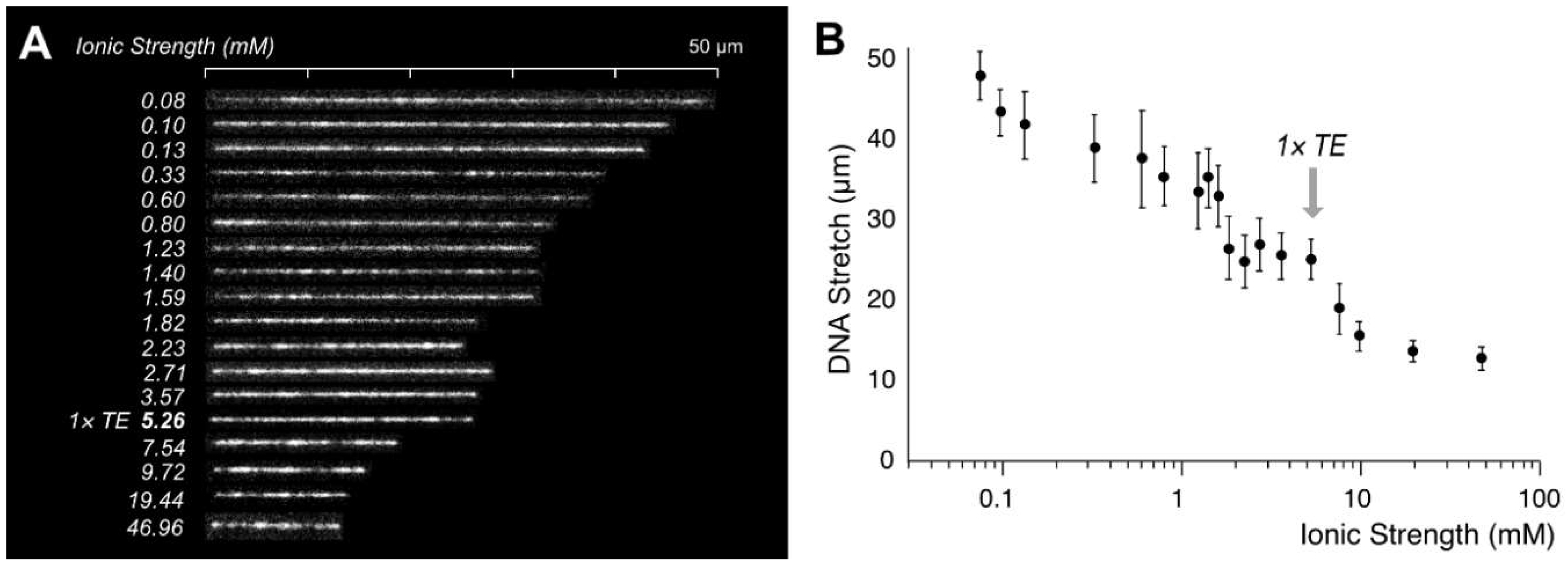 Polymers 11 00015 g004