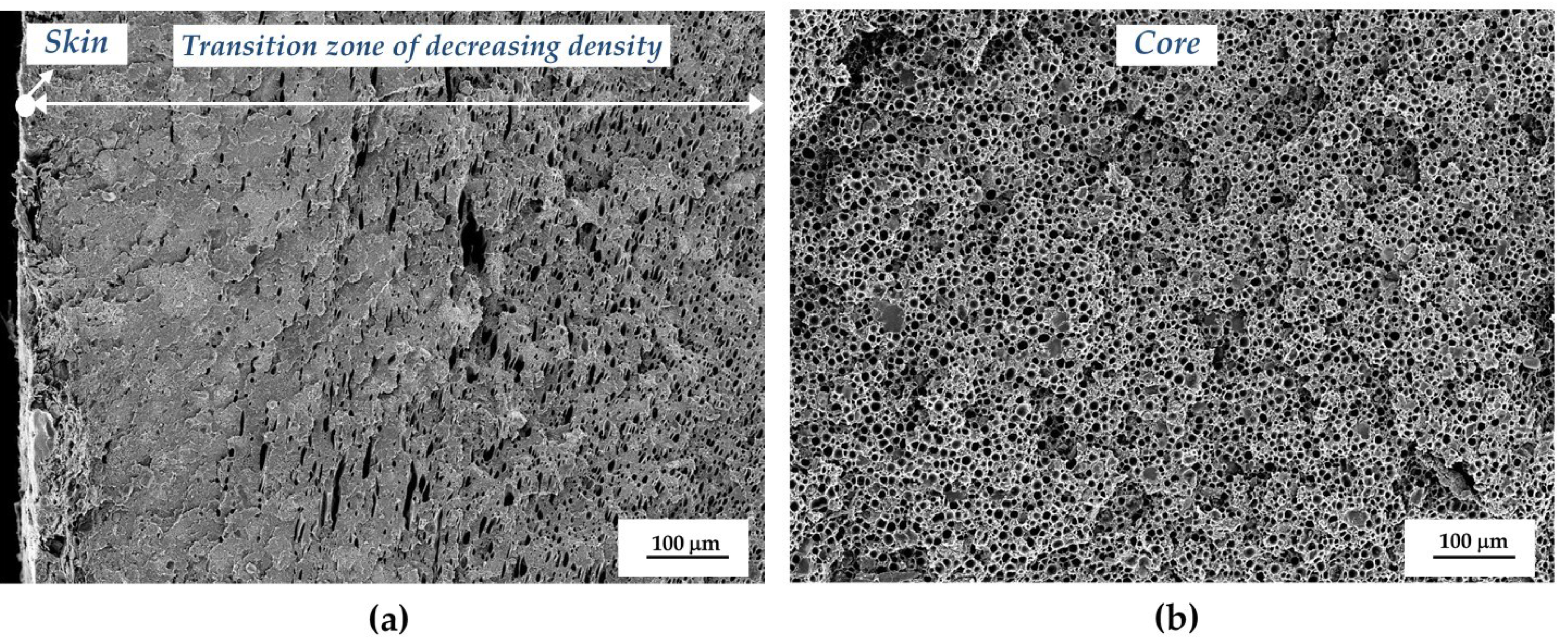 Polymers 11 00030 g002 Polymers 11 00030 g002