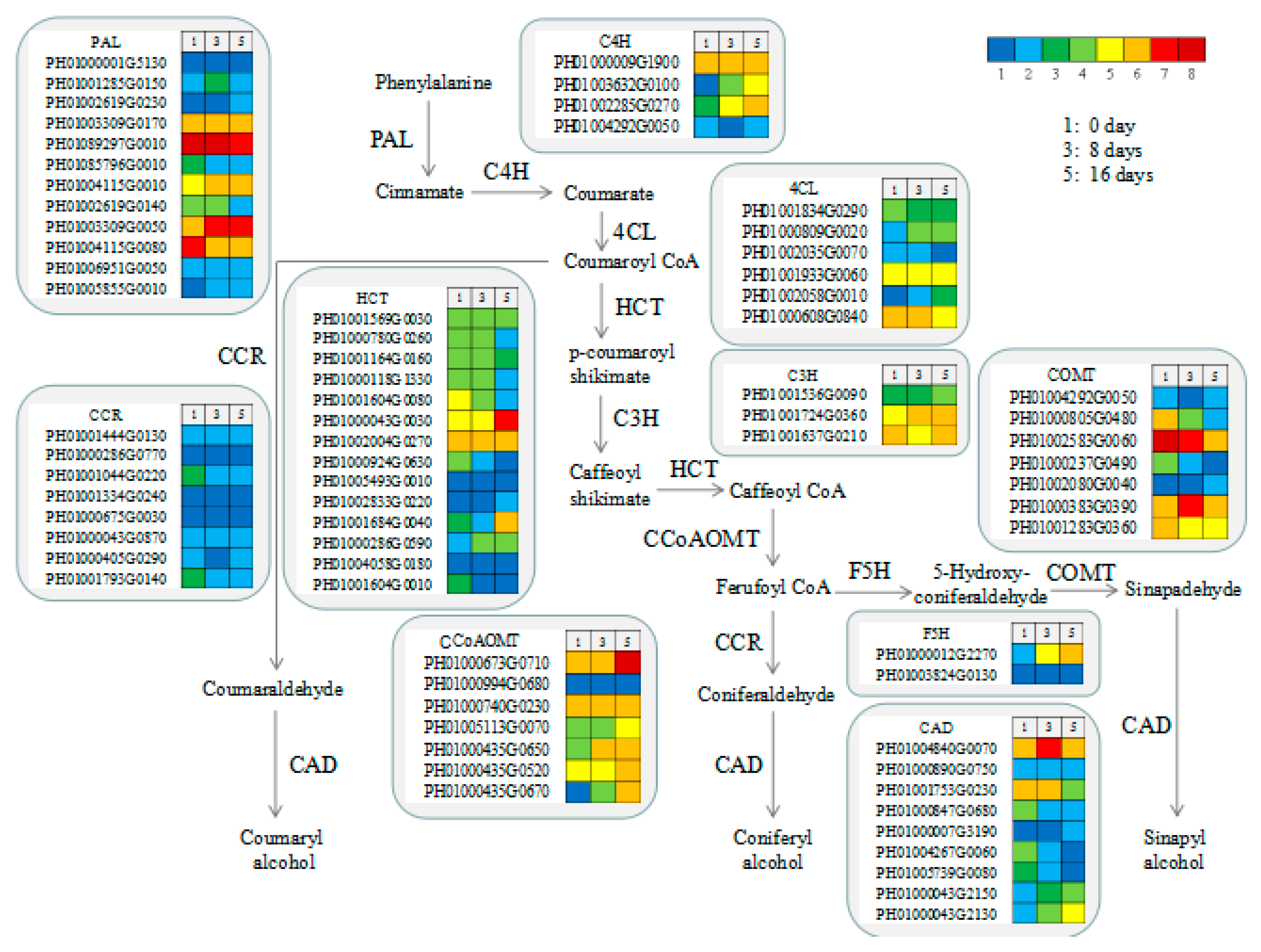 Polymers 11 00038 g007 Polymers 11 00038 g007