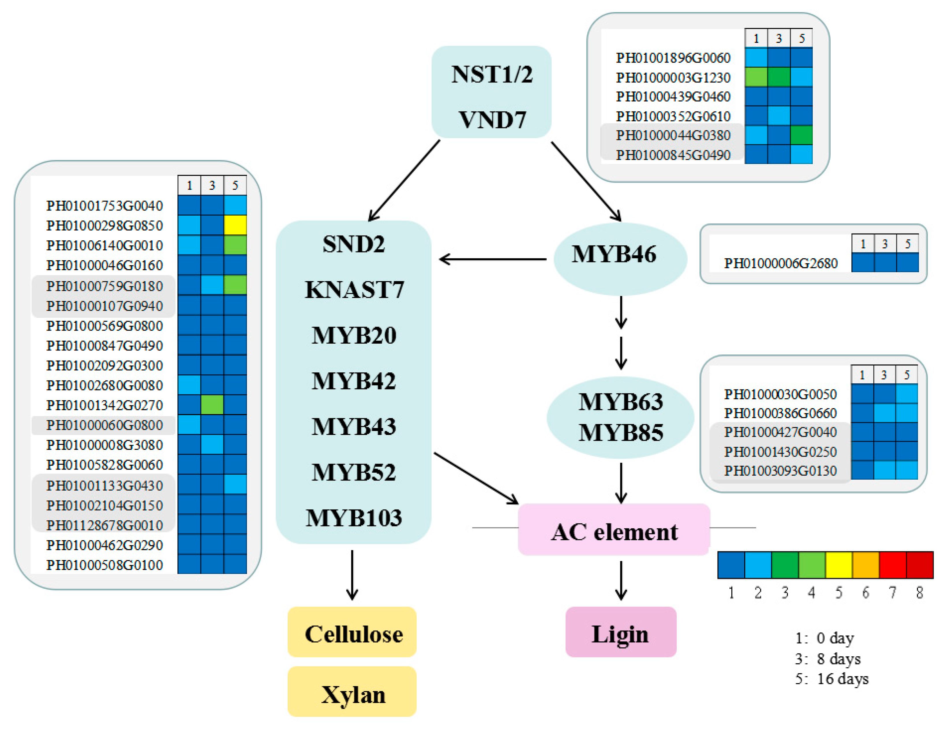 Polymers 11 00038 g008 Polymers 11 00038 g008