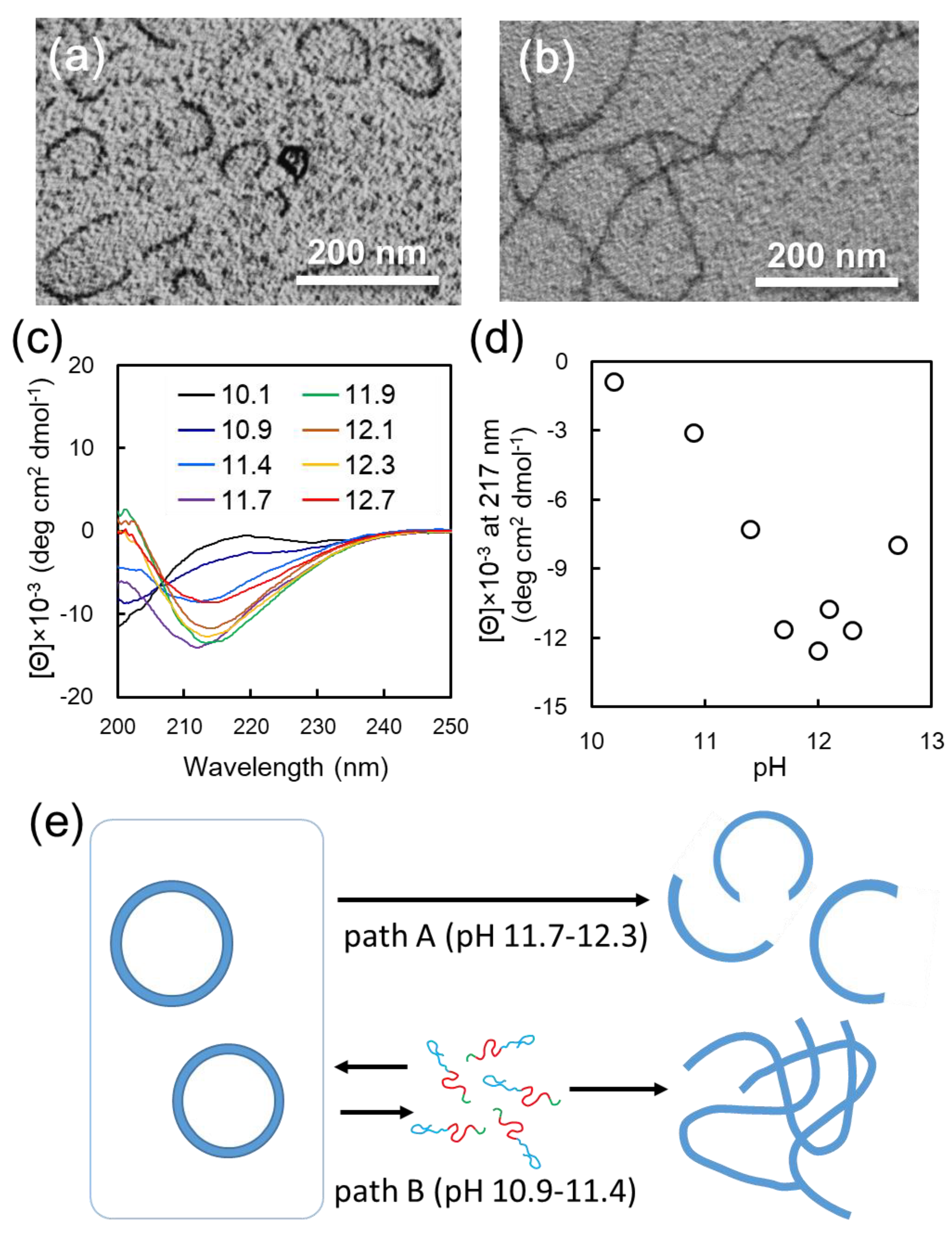 Polymers 11 00039 g003