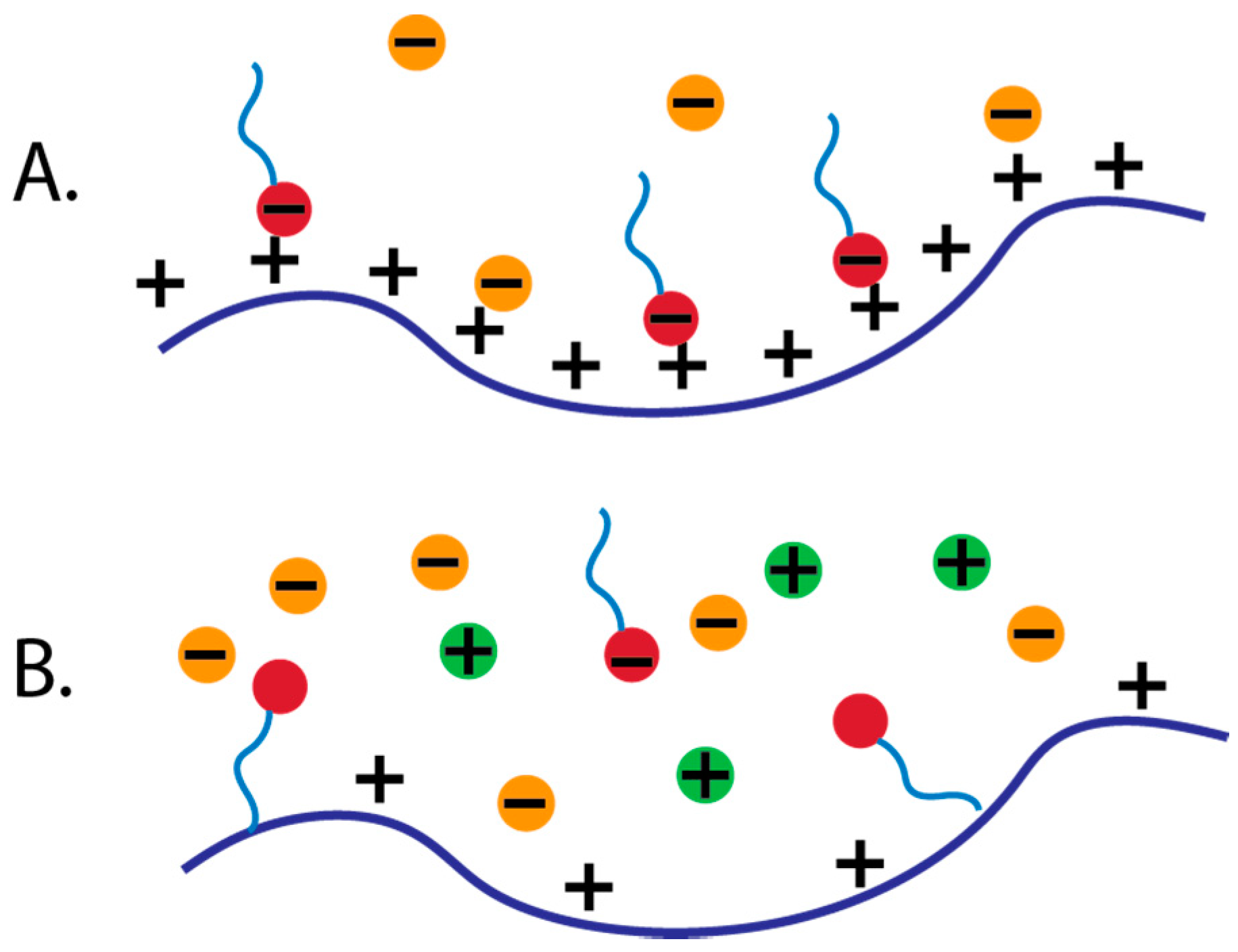 Polymers 11 00051 g003