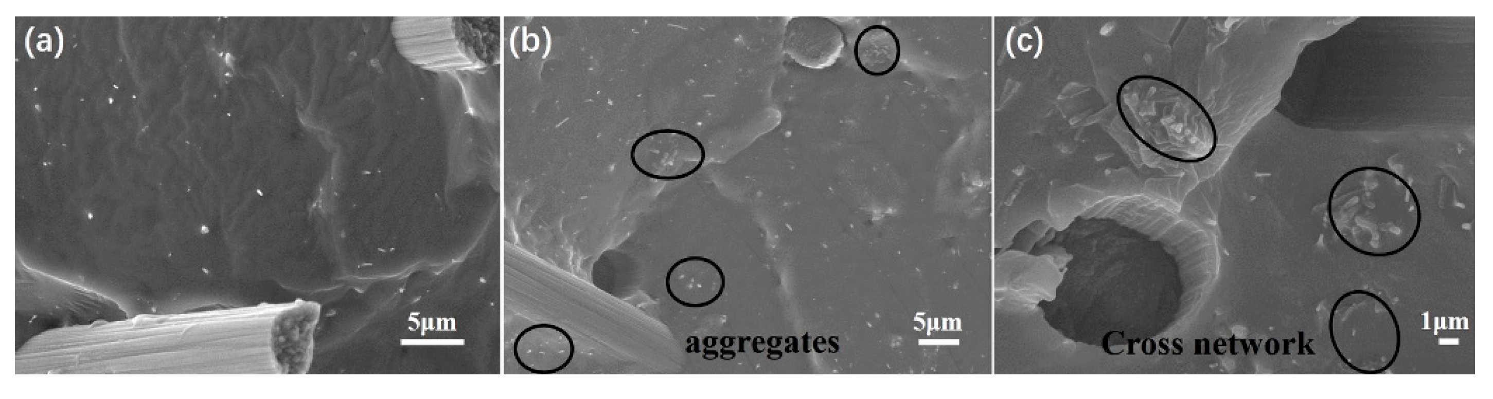 Polymers 11 00056 g004