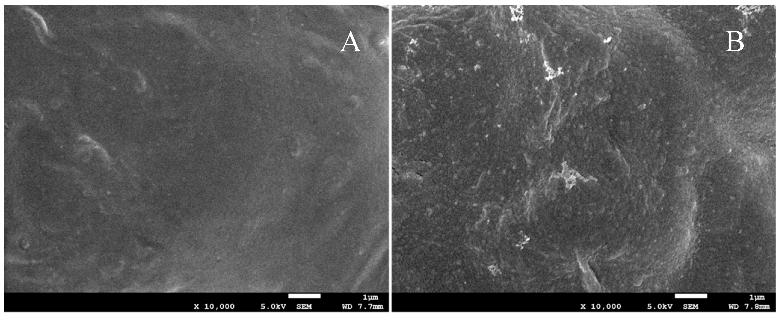 Polymers 11 00057 g002