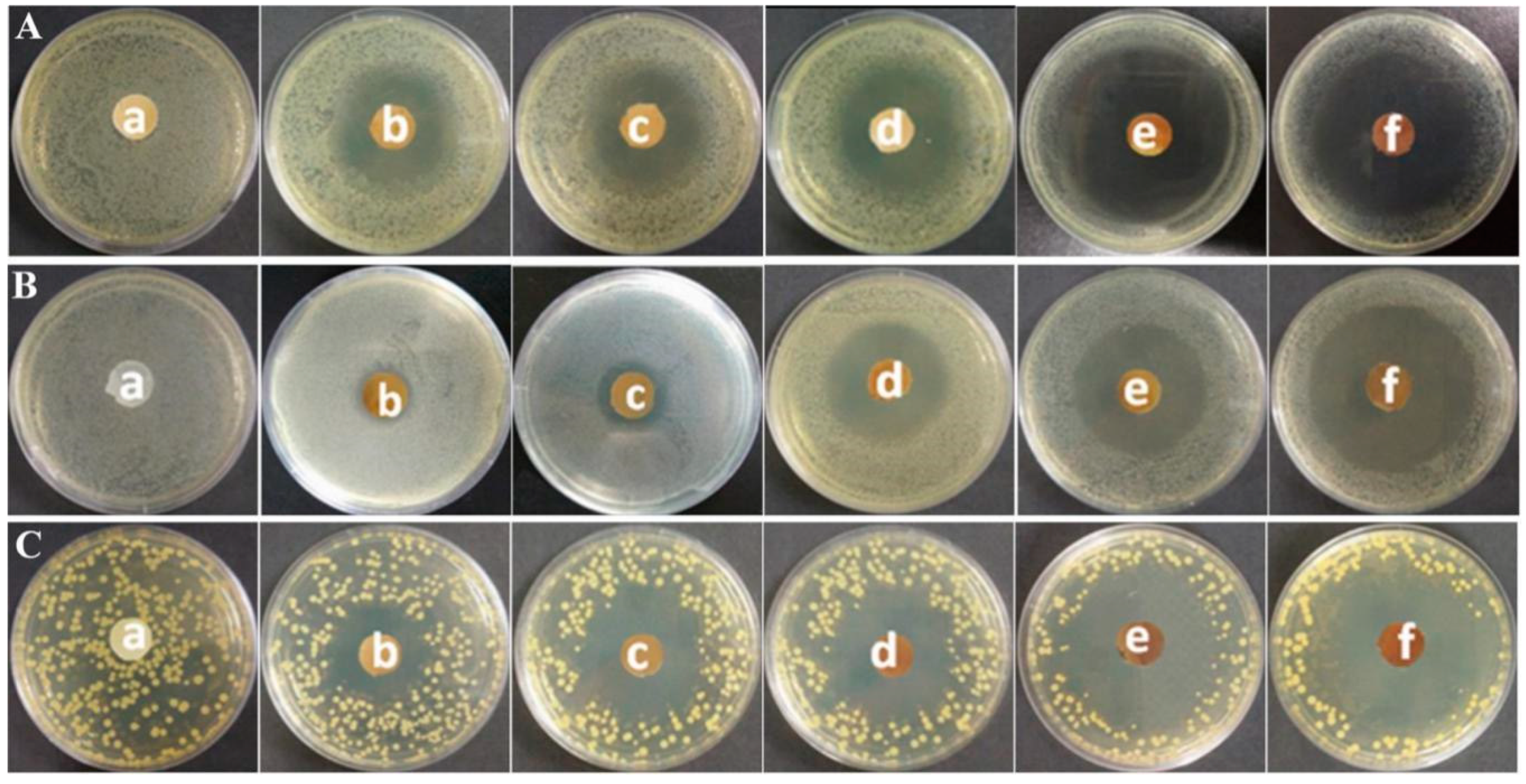Polymers 11 00057 g005