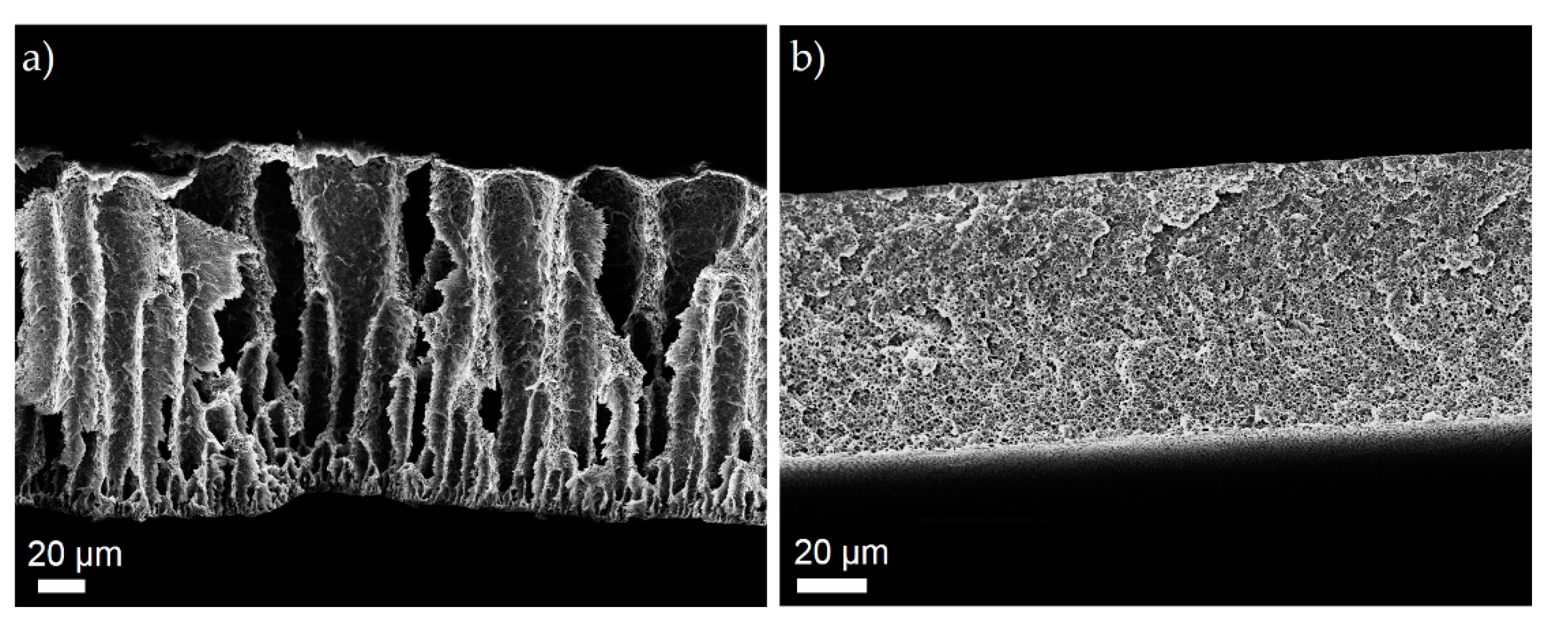 Polymers 11 00059 g001