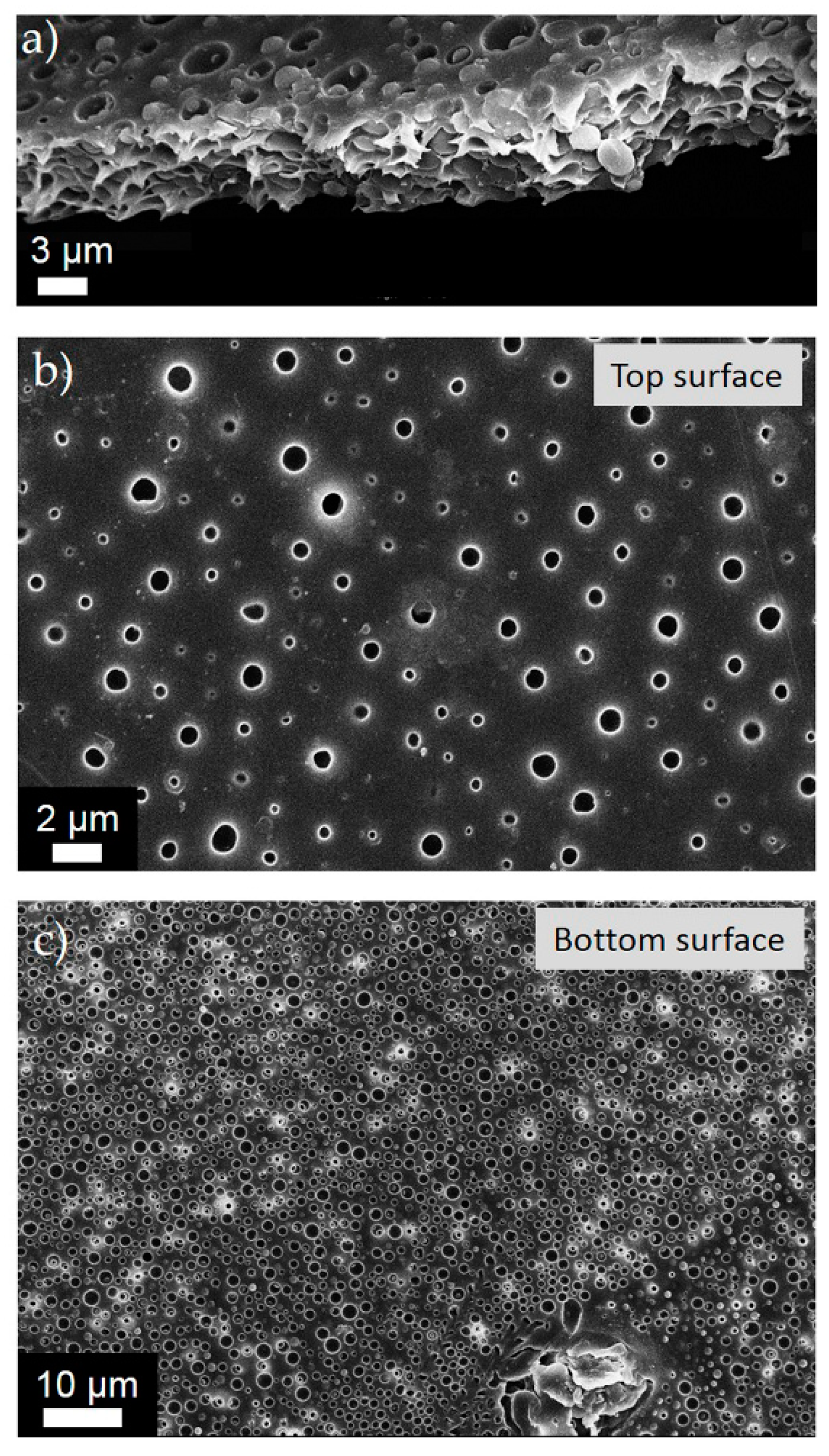 Polymers 11 00059 g002