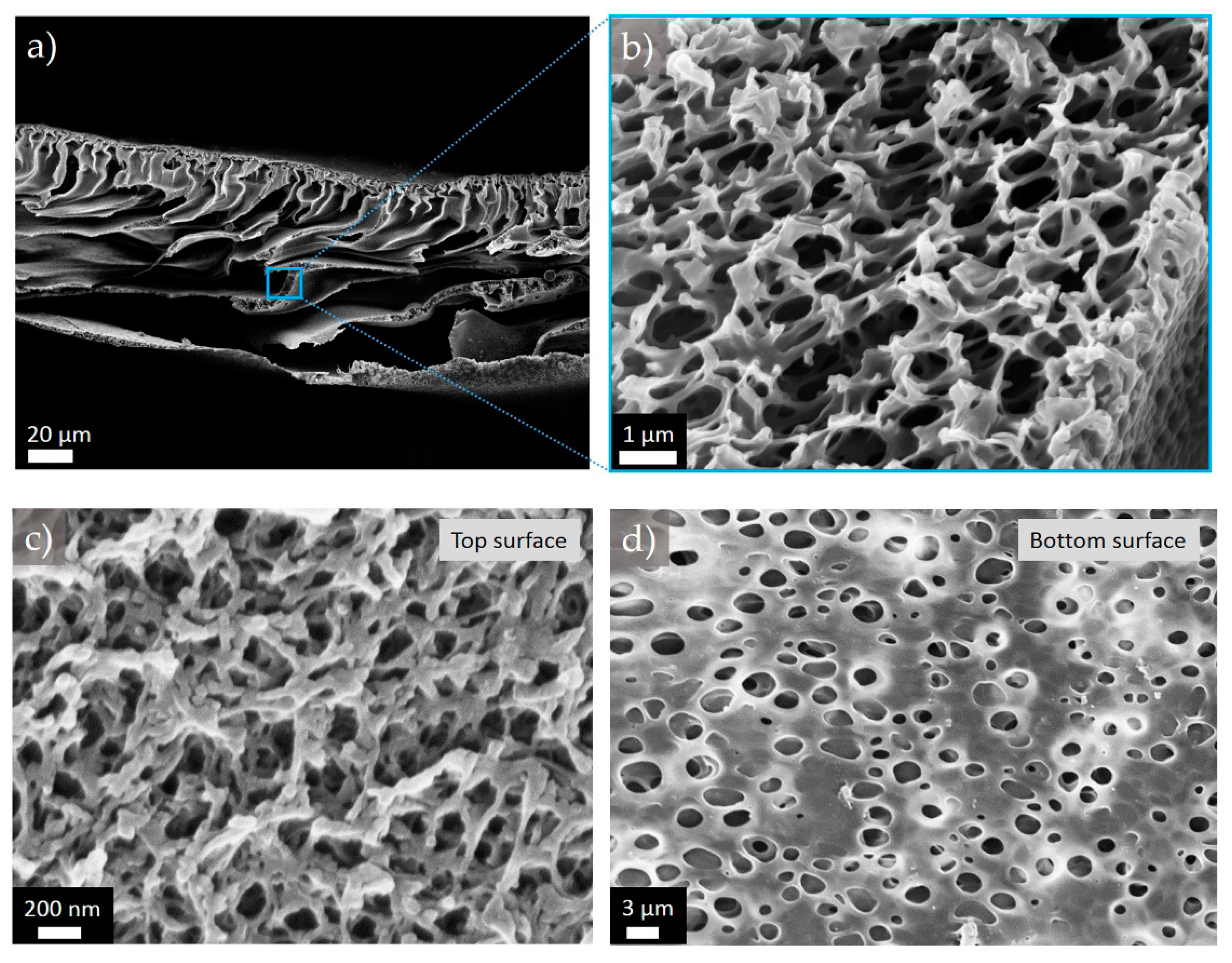 Polymers 11 00059 g004