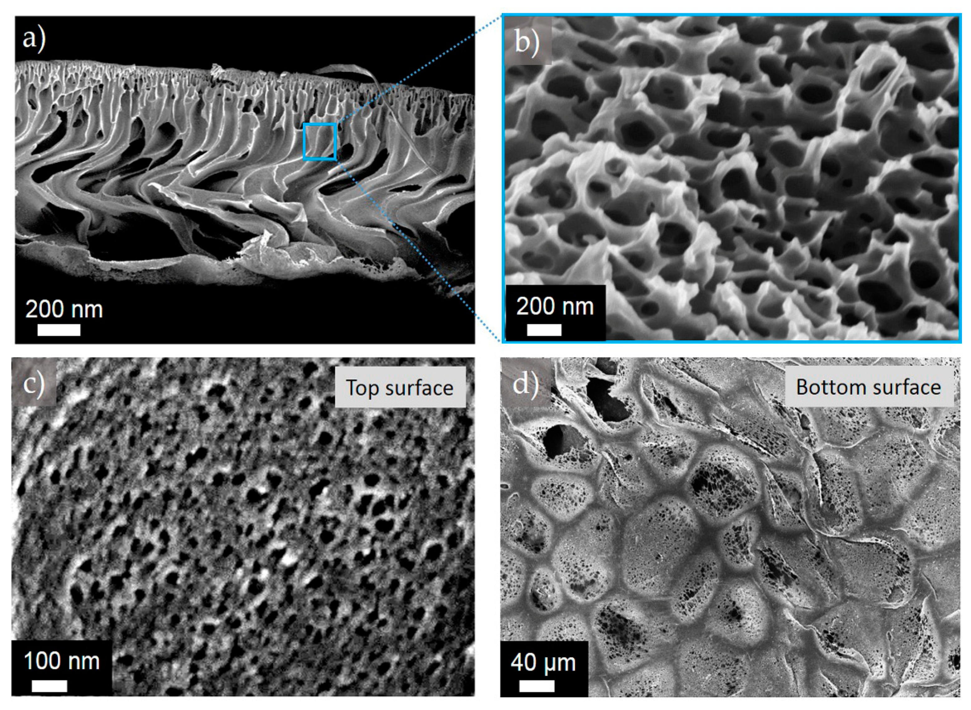 Polymers 11 00059 g006