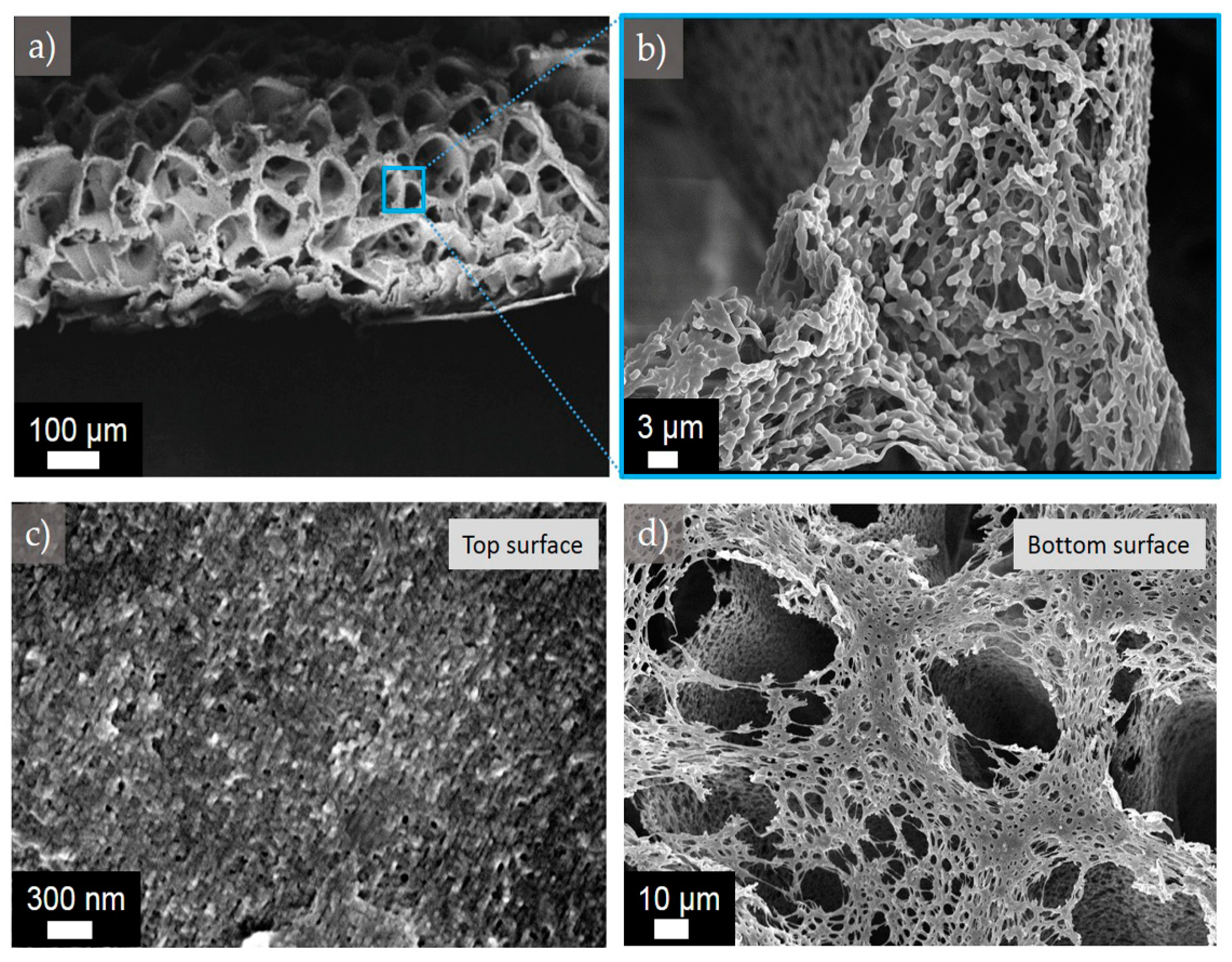 Polymers 11 00059 g008