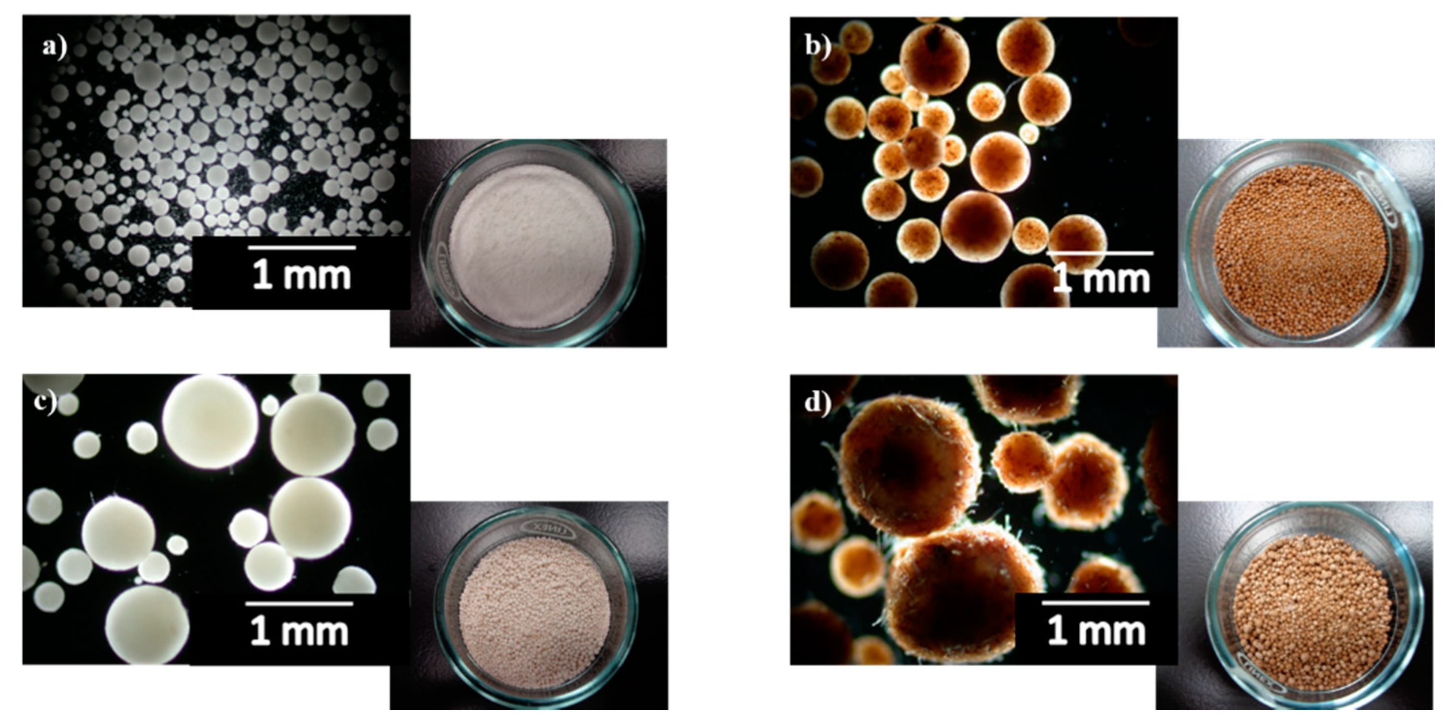 Polymers 11 00066 g002