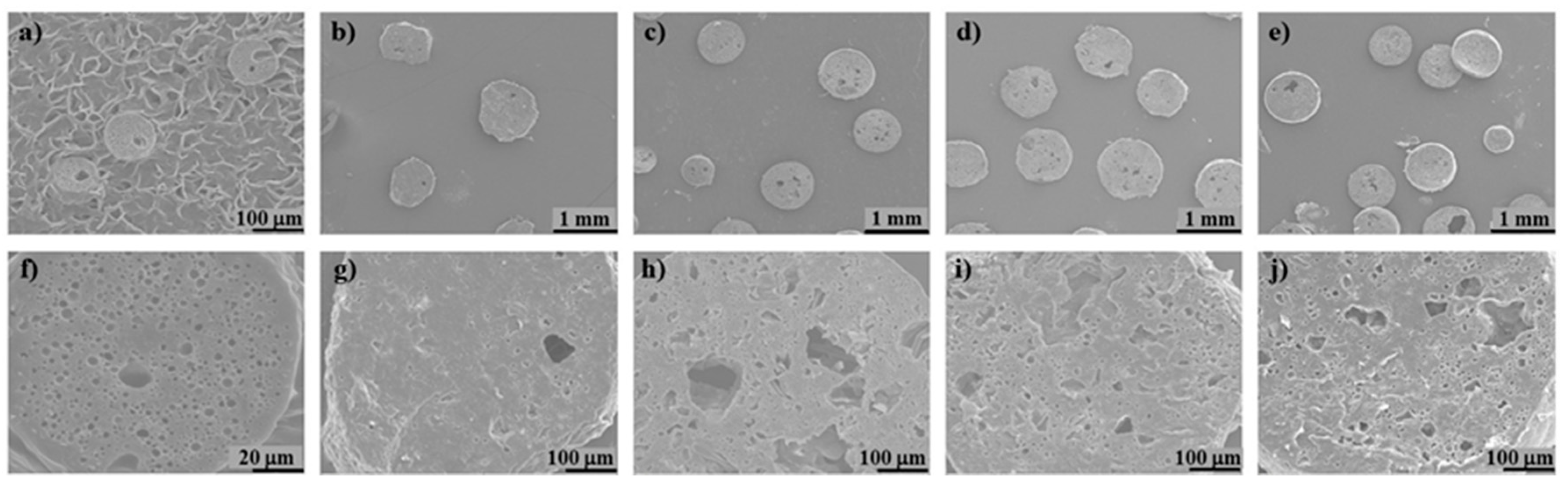 Polymers 11 00066 g006