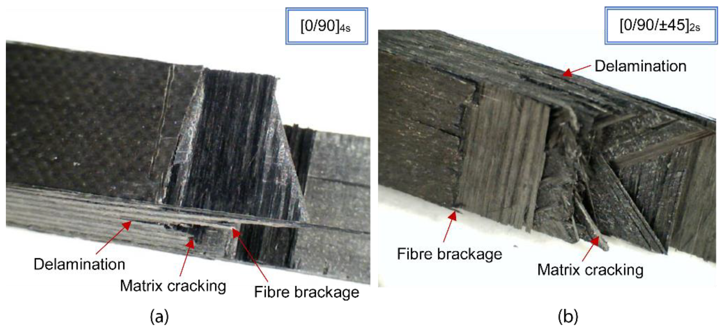 Polymers 11 00080 g006