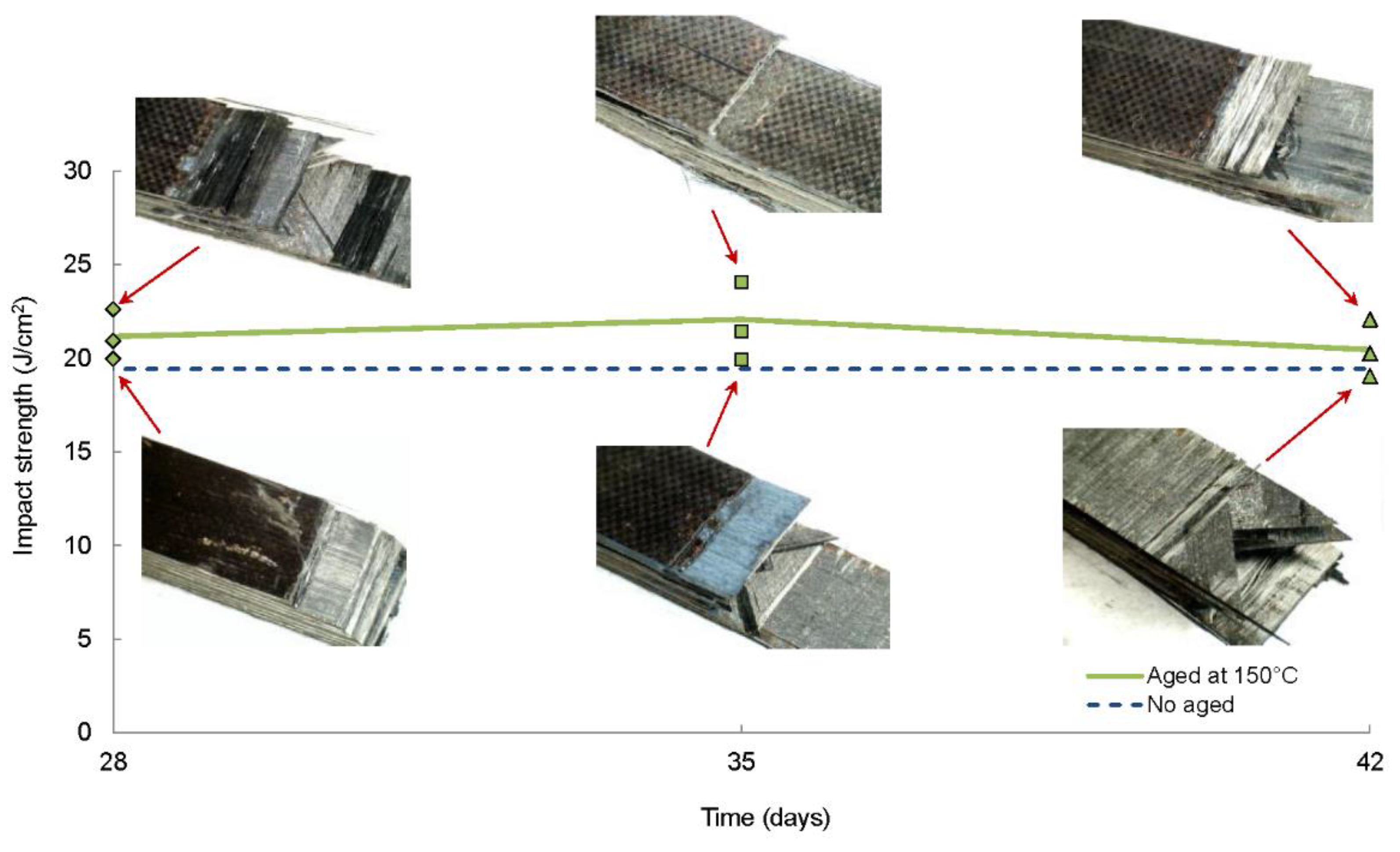 Polymers 11 00080 g007