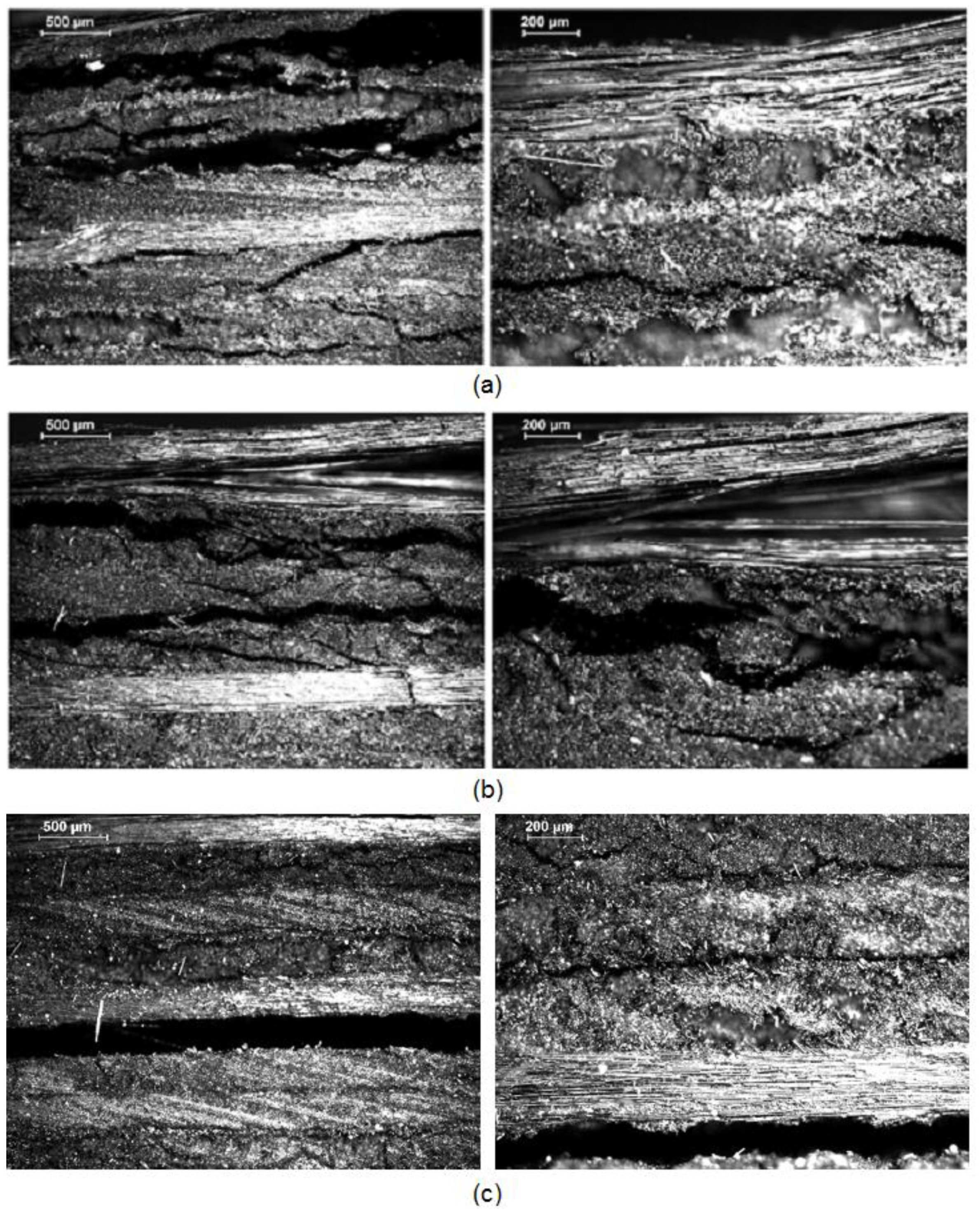 Polymers 11 00080 g011