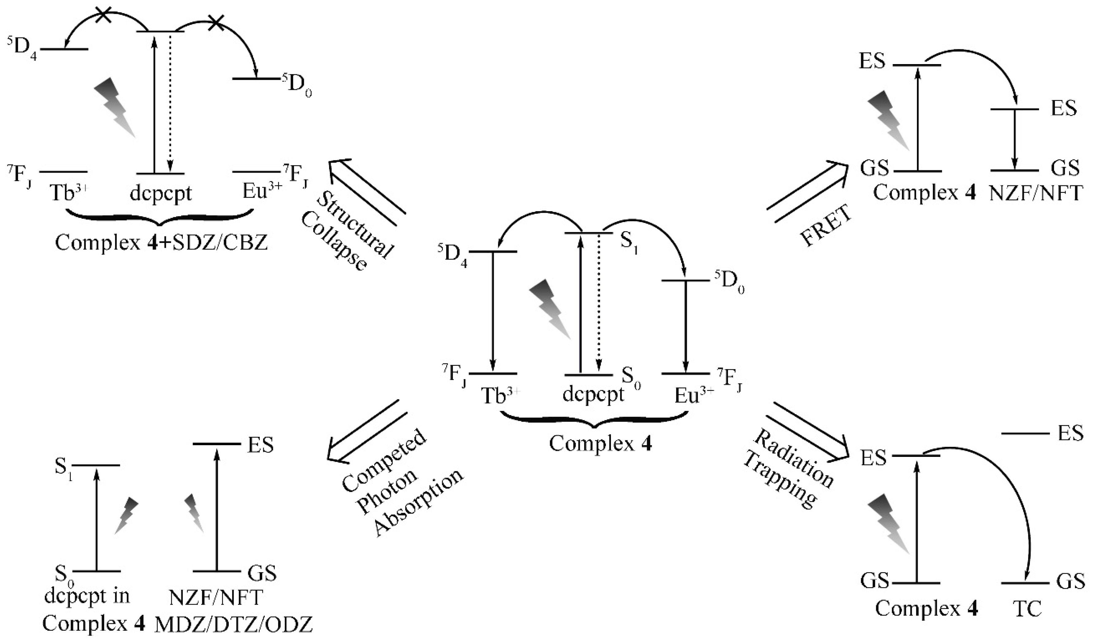 Polymers 11 00099 sch001 Polymers 11 00099 sch001