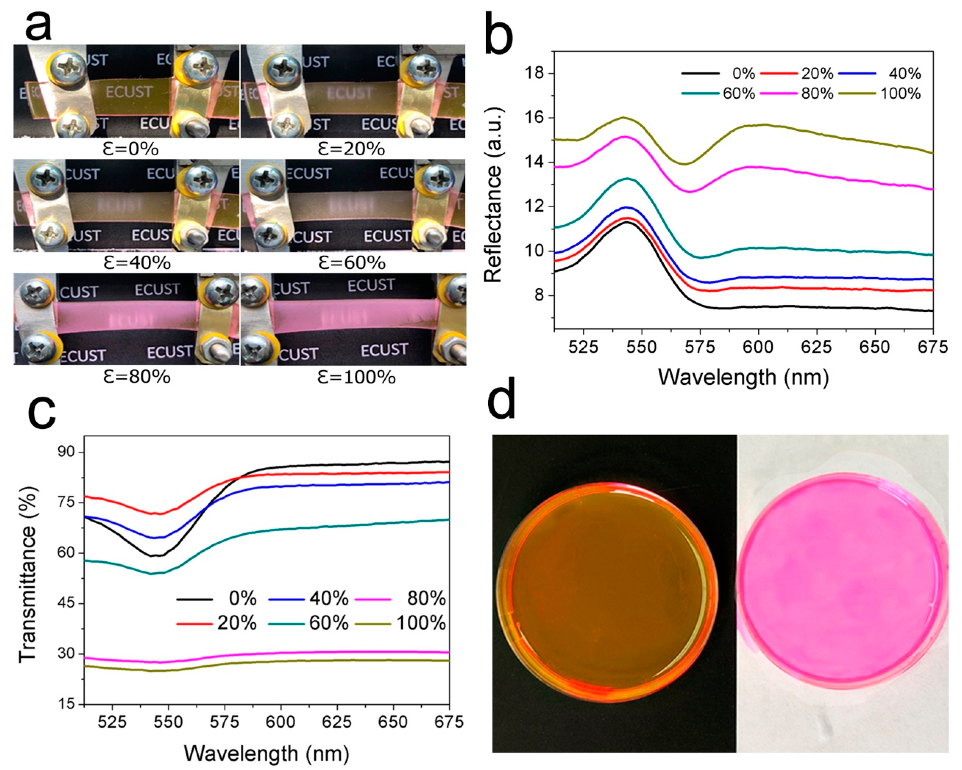 Polymers 11 00103 g004