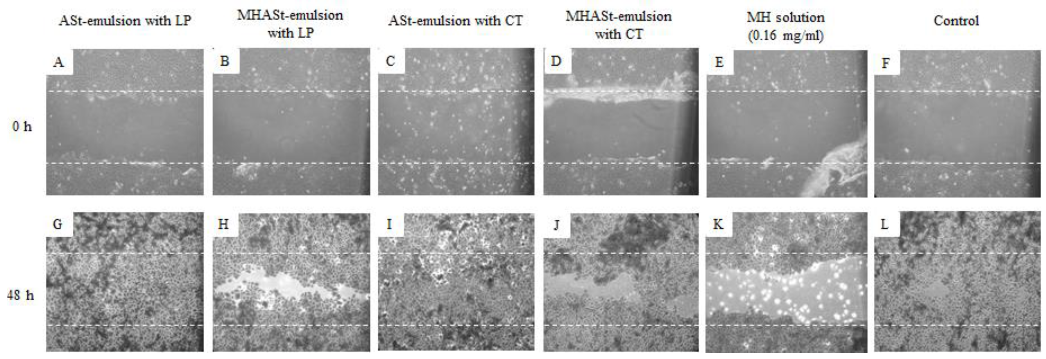 Polymers 11 00108 g004